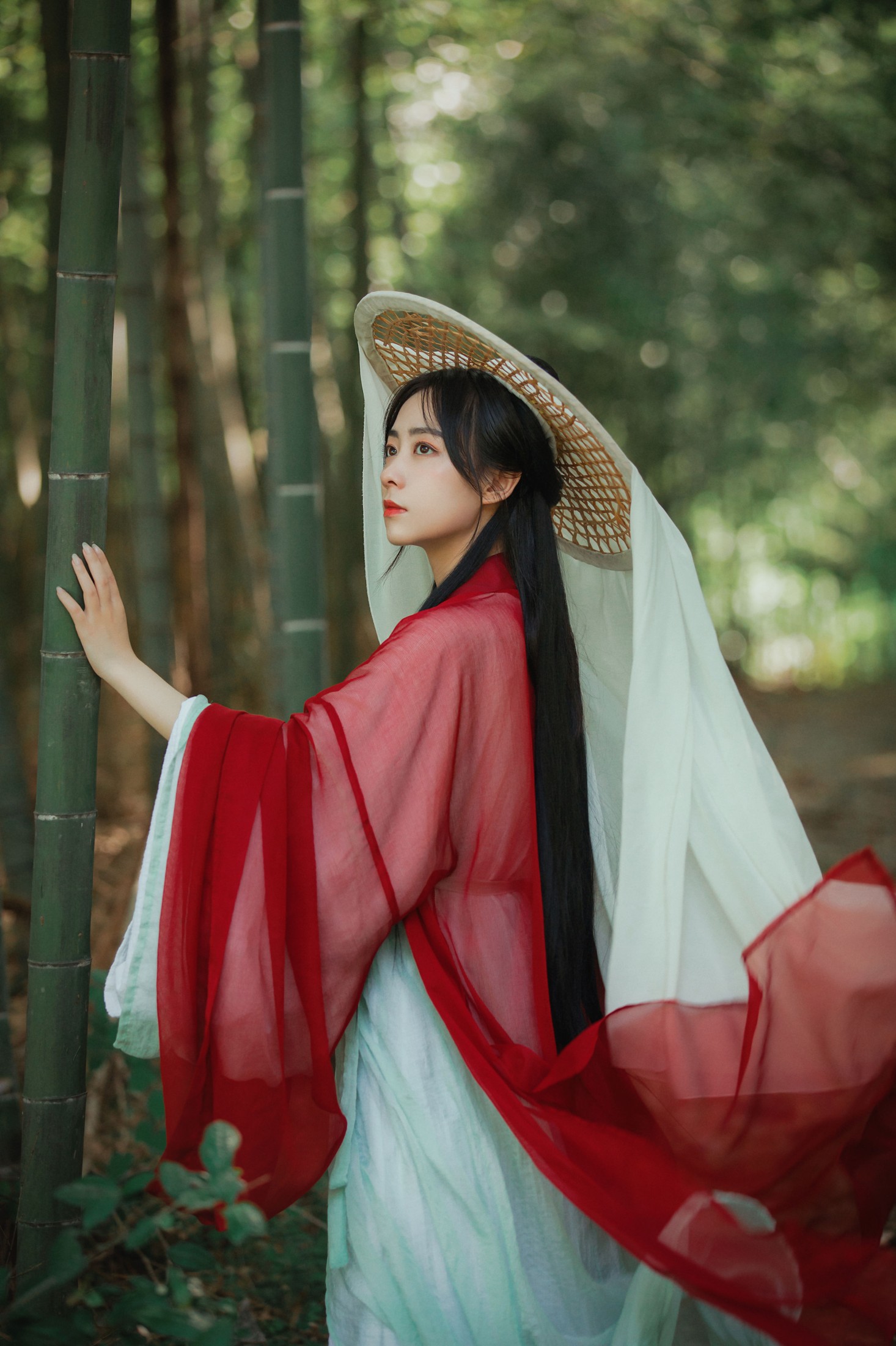 君由雪 – 《青山隐》[21P]