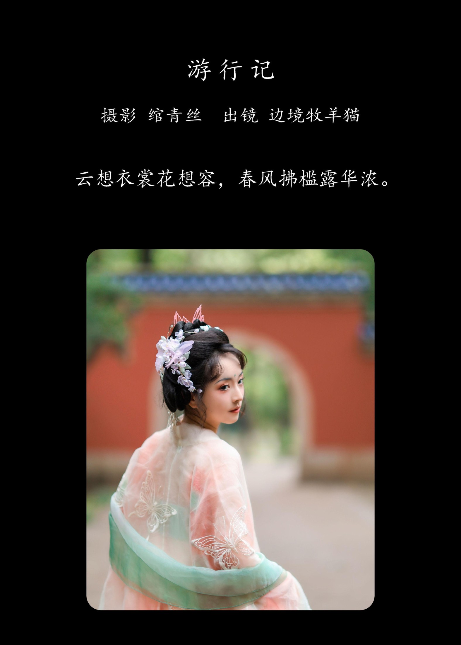 边境牧羊猫 – 《游行记》[21P]