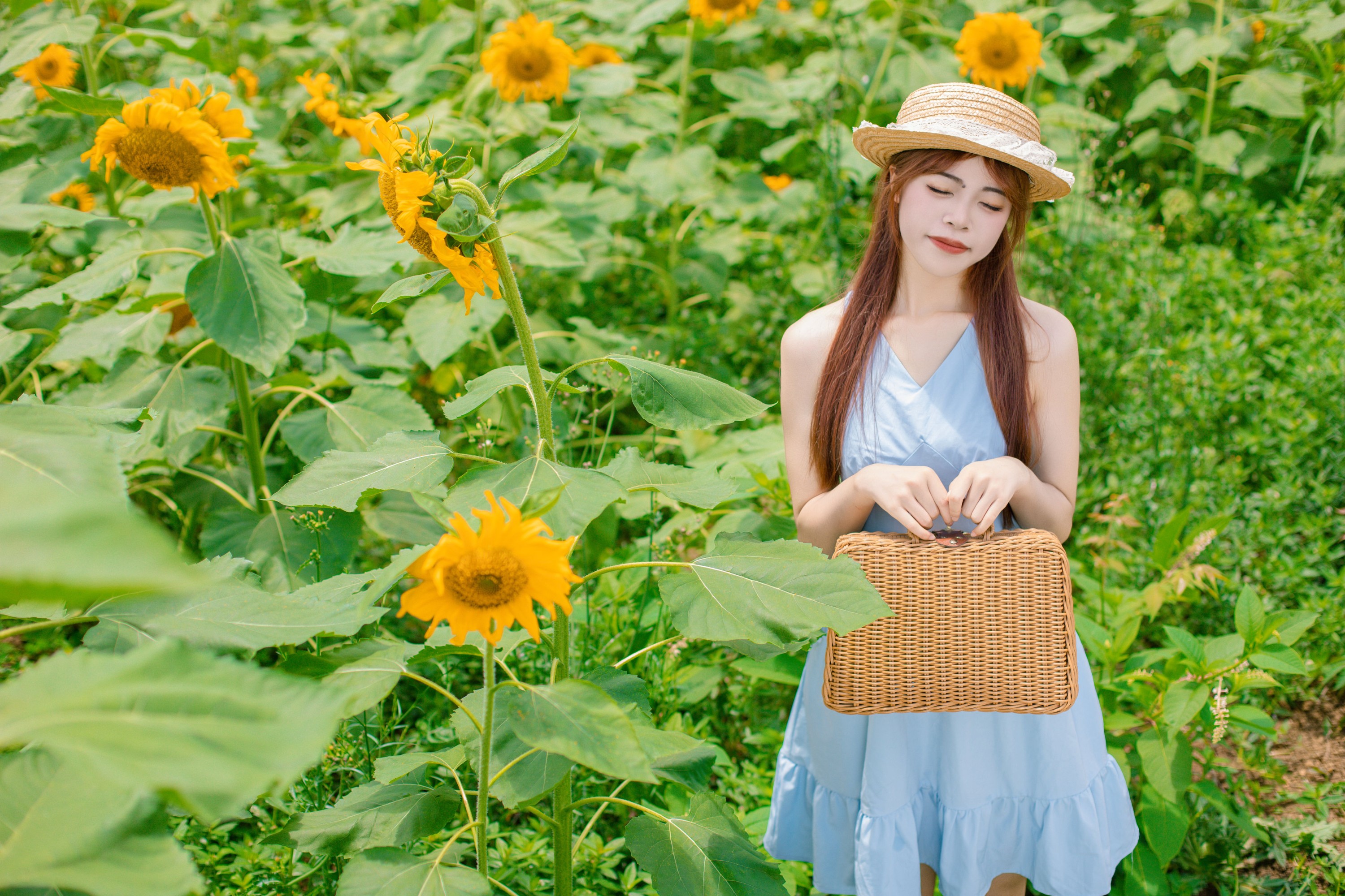 suo锁 – 《向日葵的微笑》[27P]