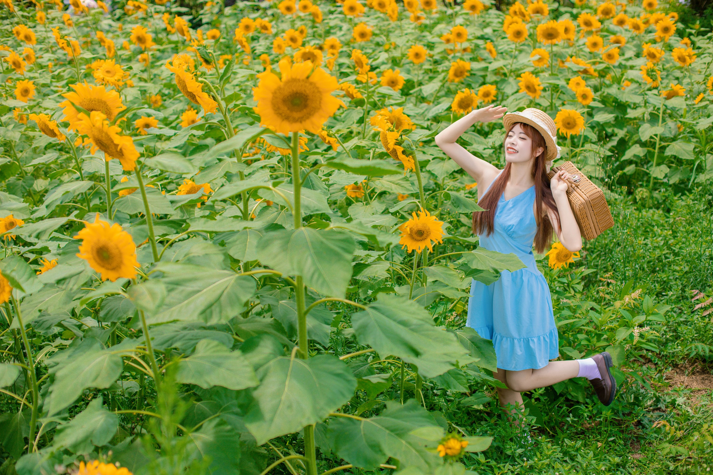 suo锁 – 《向日葵的微笑》[27P]