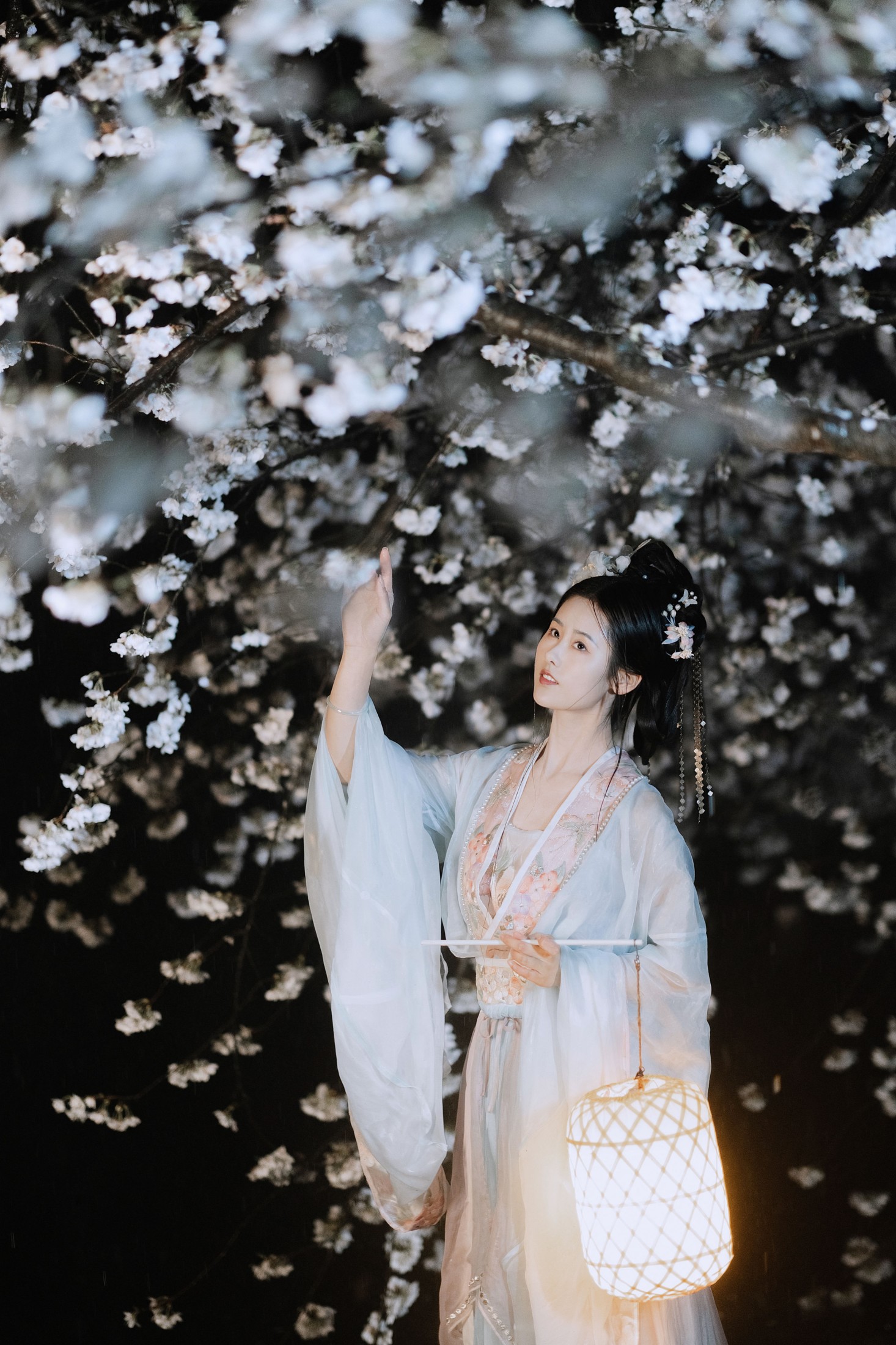 人间月-素尘 – 《夜雨赏樱》[44P] 插图3