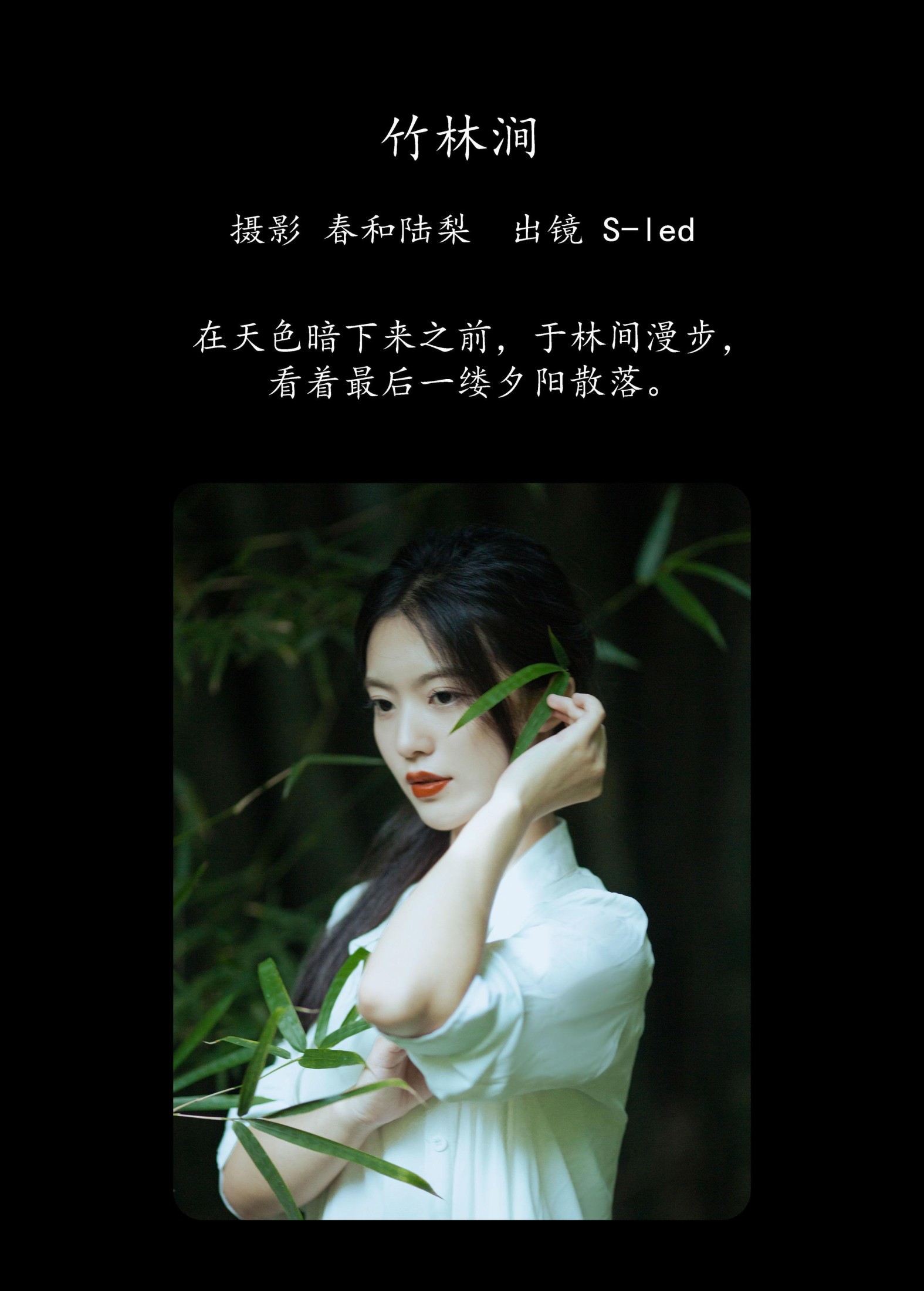 S-led – 《竹林涧》[22P]