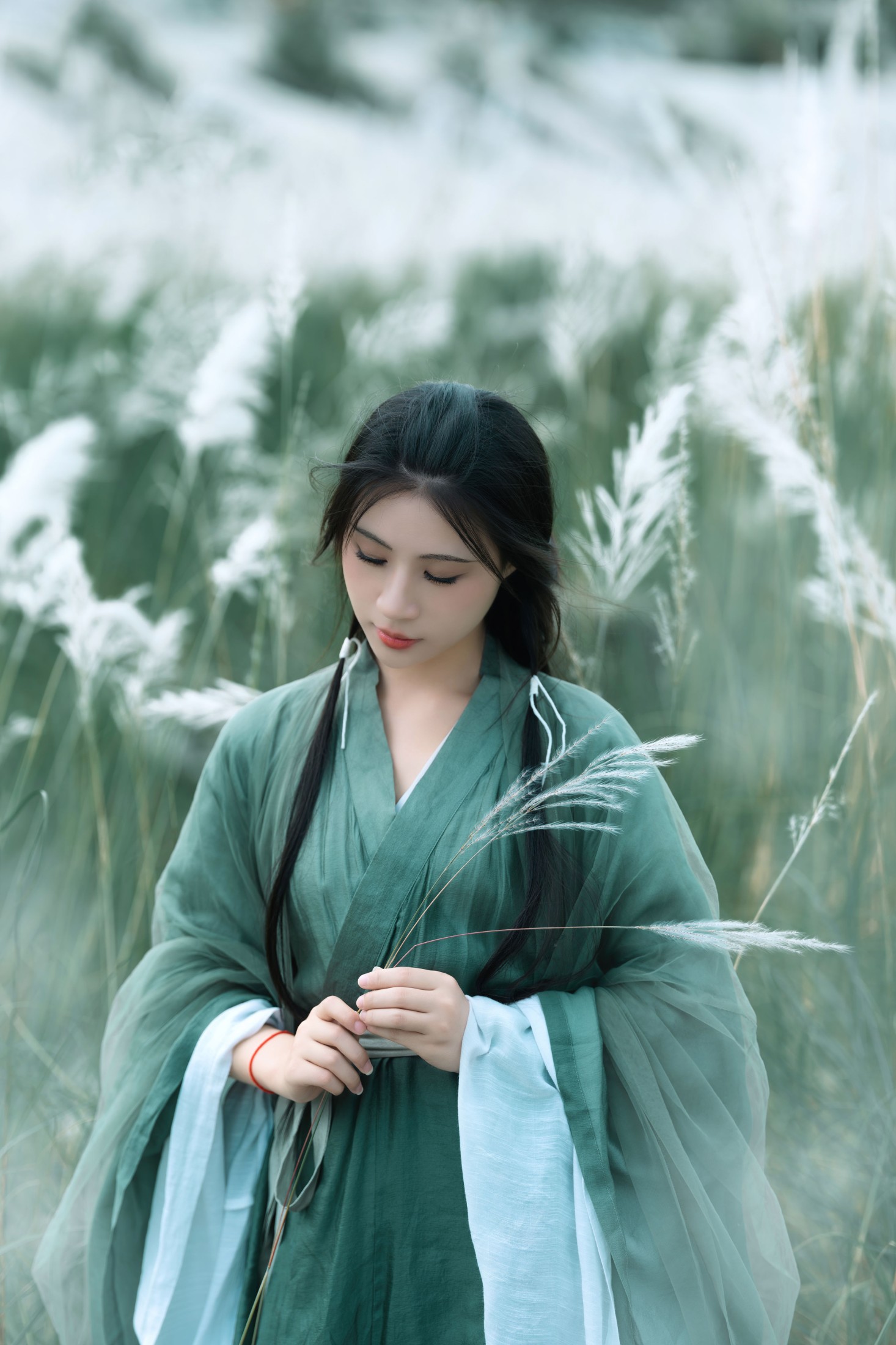 双翮 – 《关山遥》[50P]