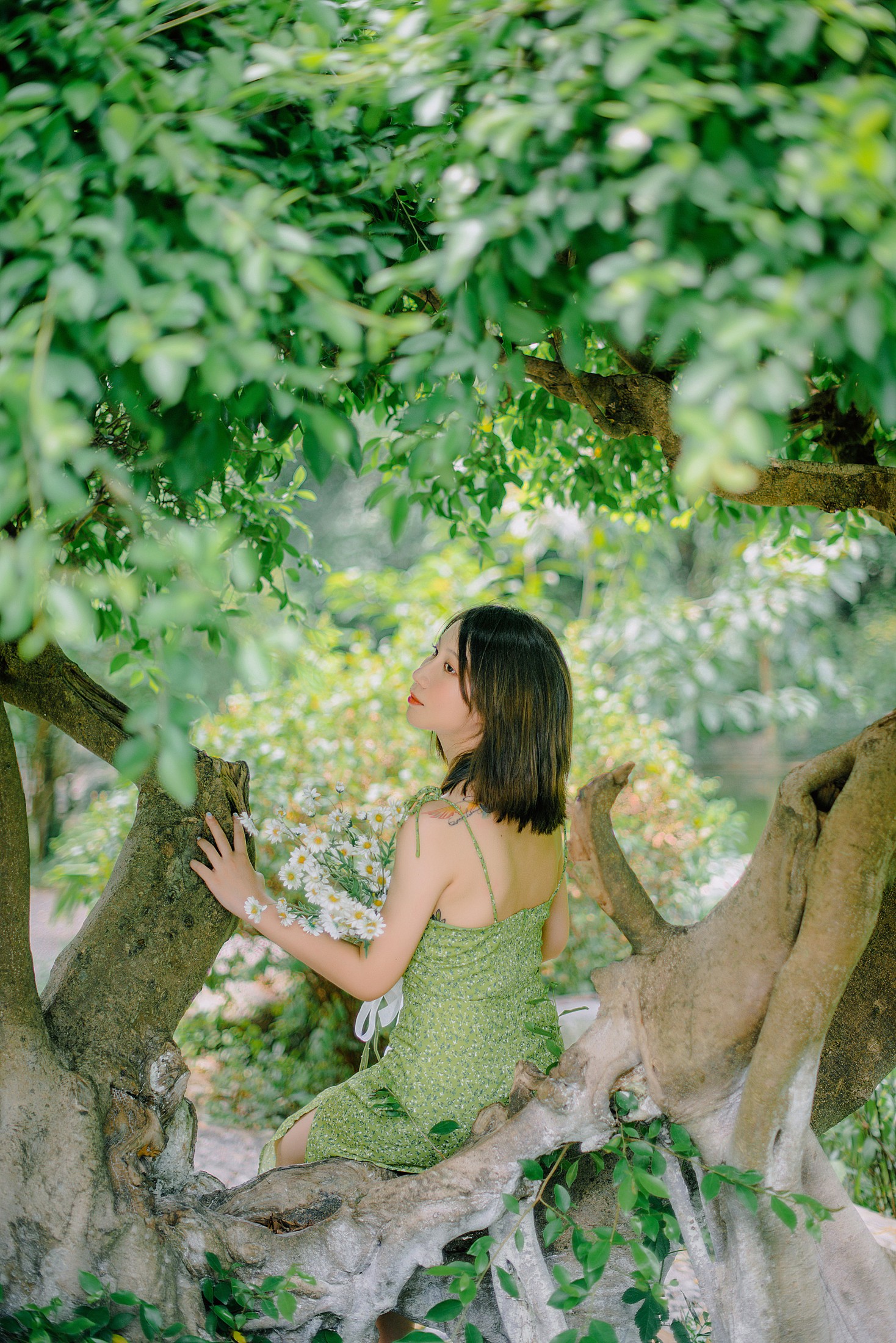 Zzz – 《绿裙摆》[29P]