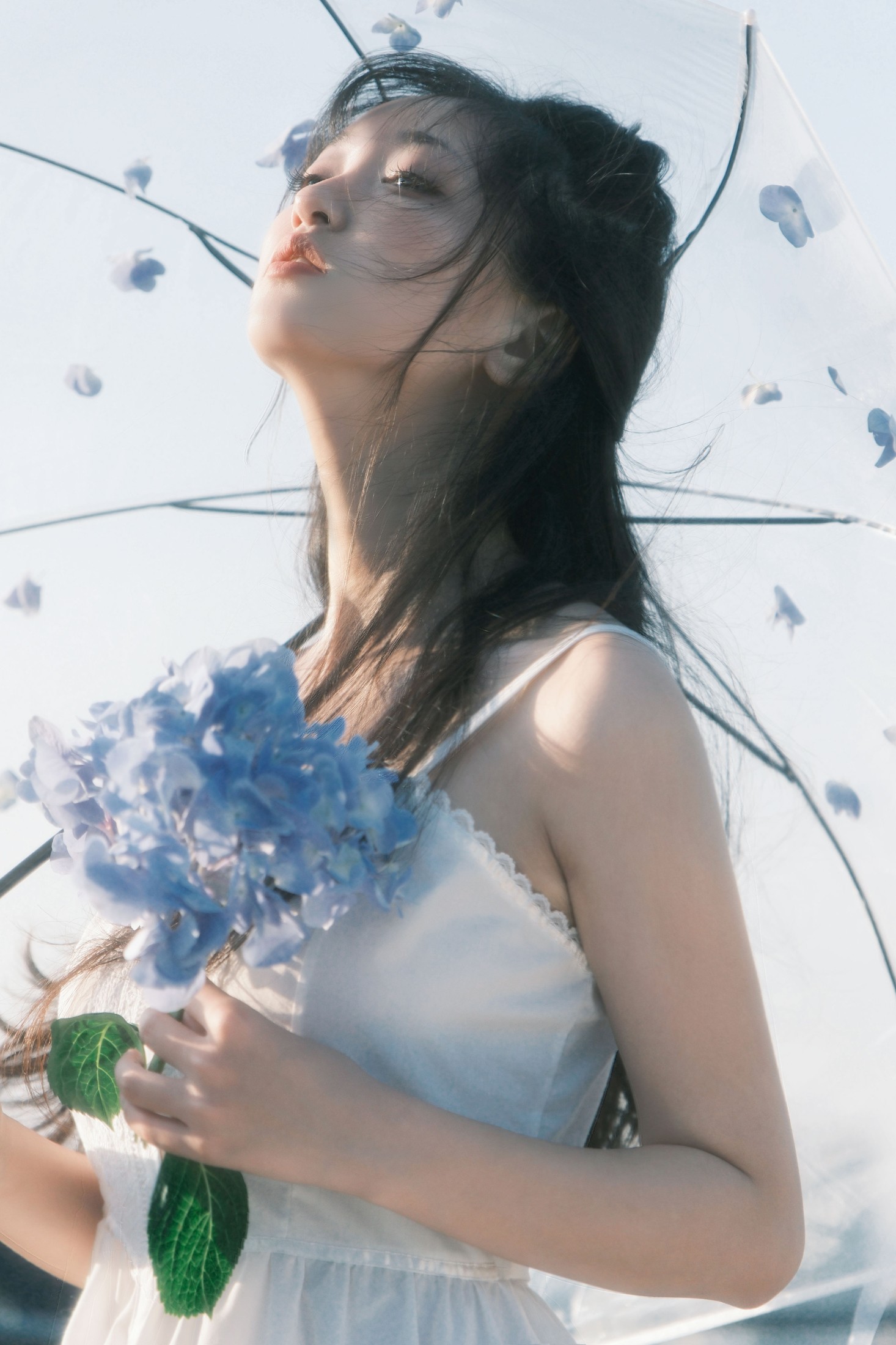 冷酷王爷 – 《降于青蓝》[25P]