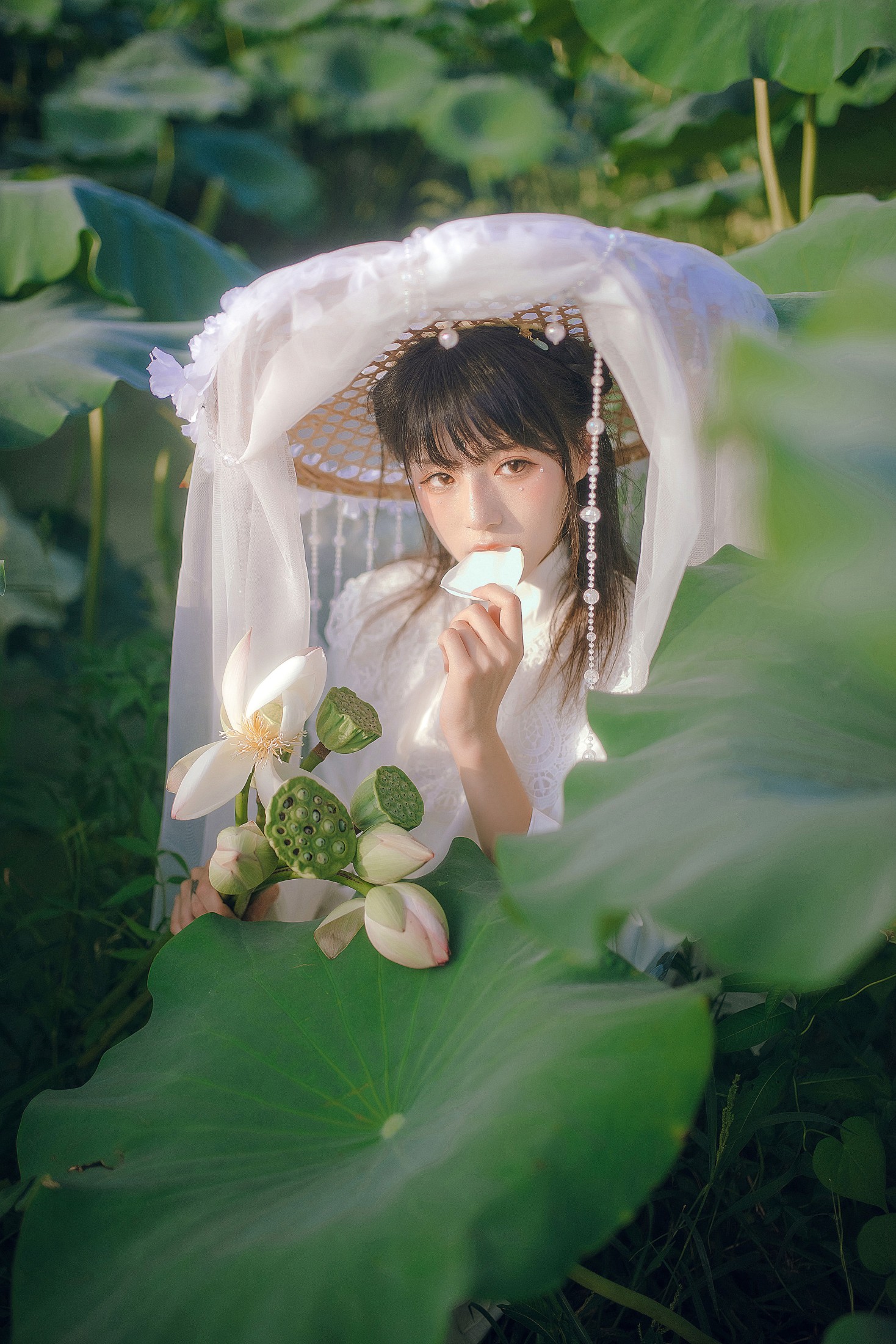 花京院腥鱼 – 《行走世间》[29P]