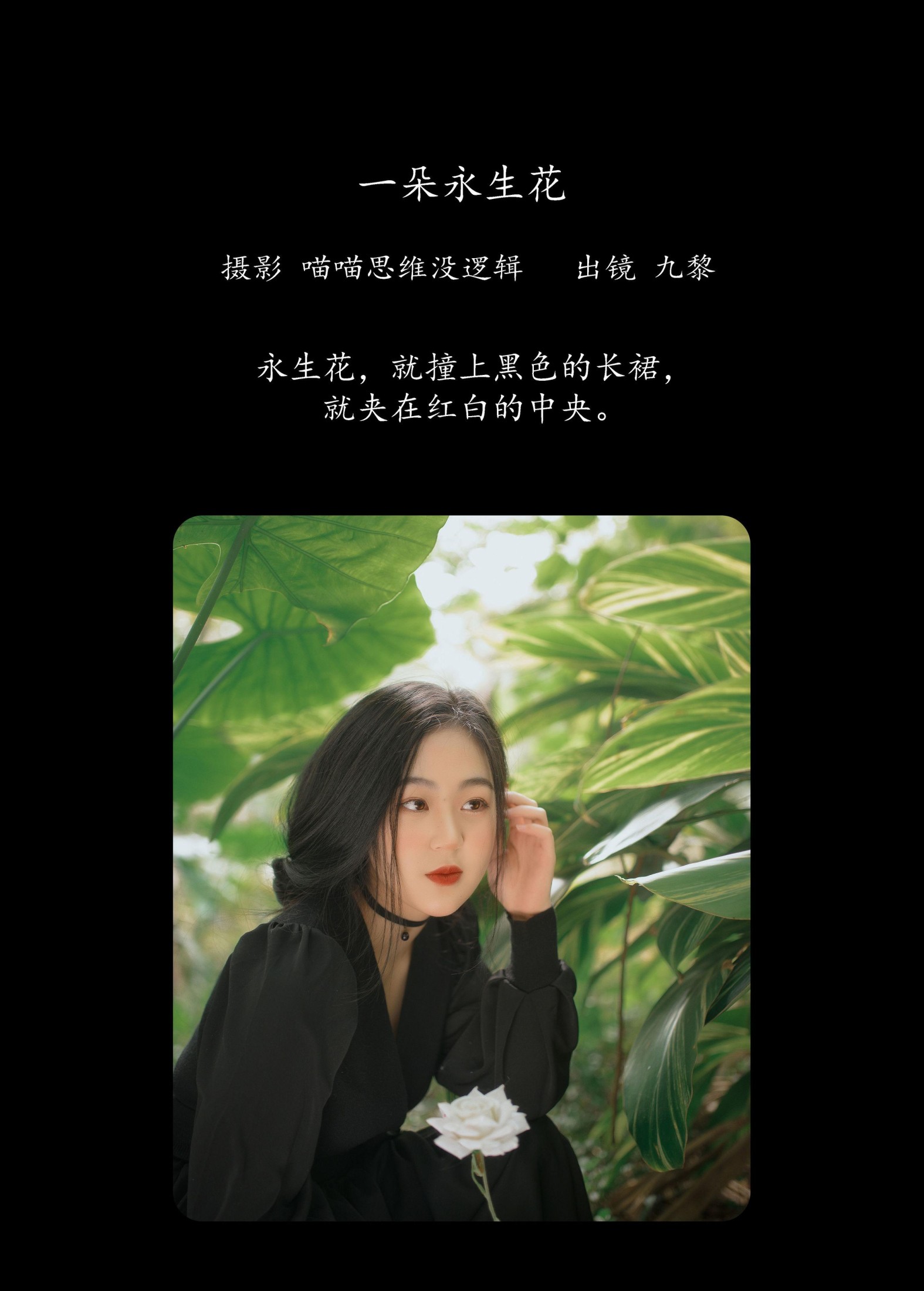 九黎 – 《一朵永生花》[23P]