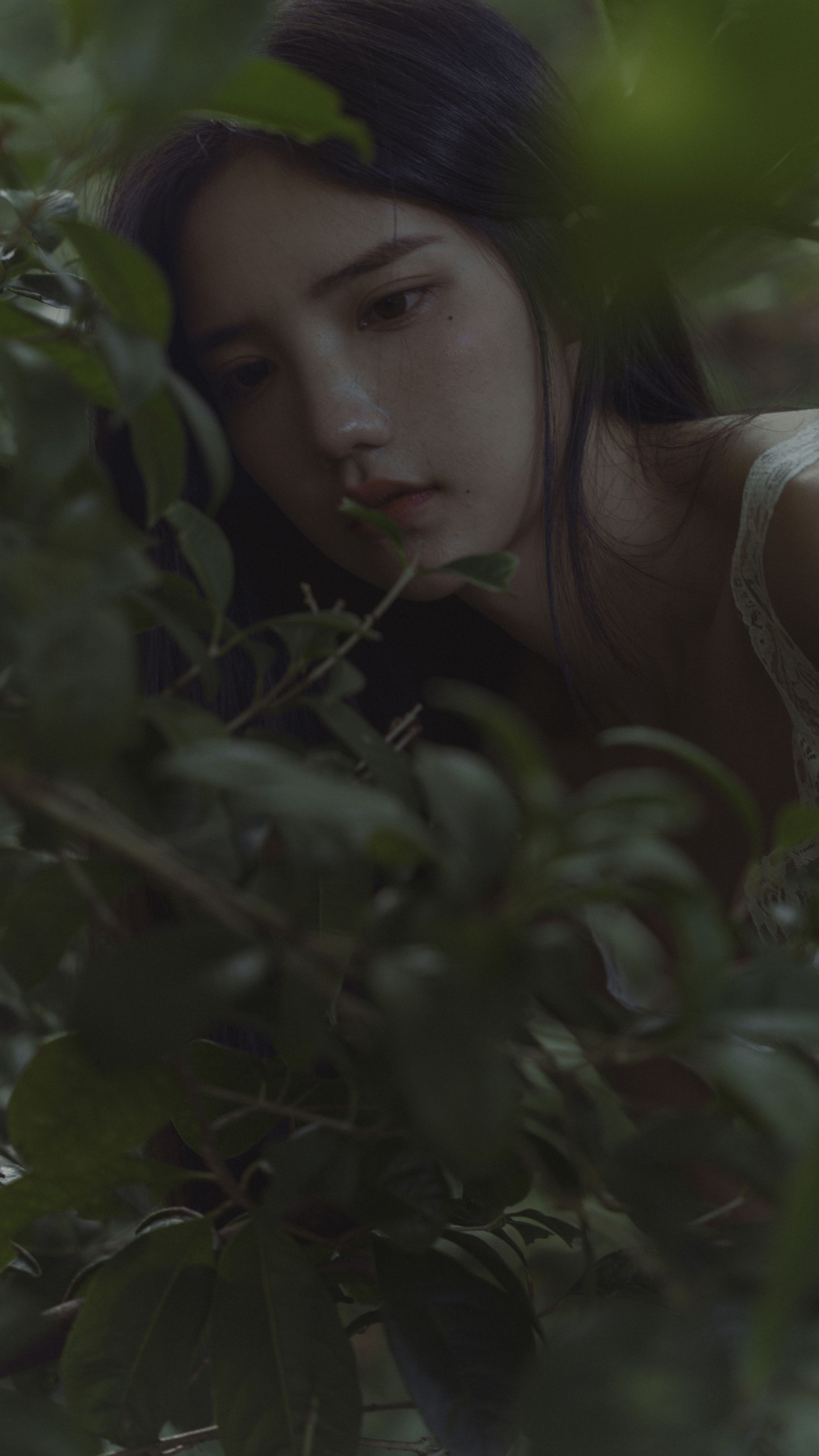 多米Domy – 《迷宫》[38P]