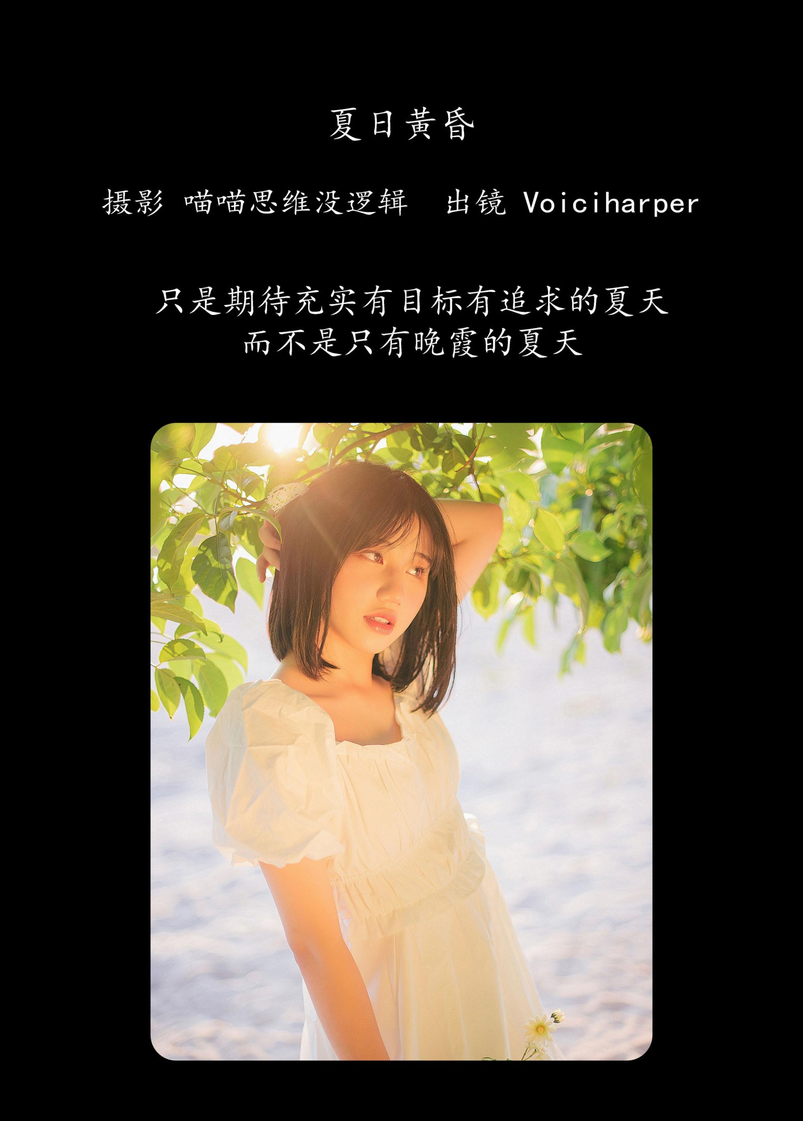 Voiciharper – 《夏日黄昏》[48P]