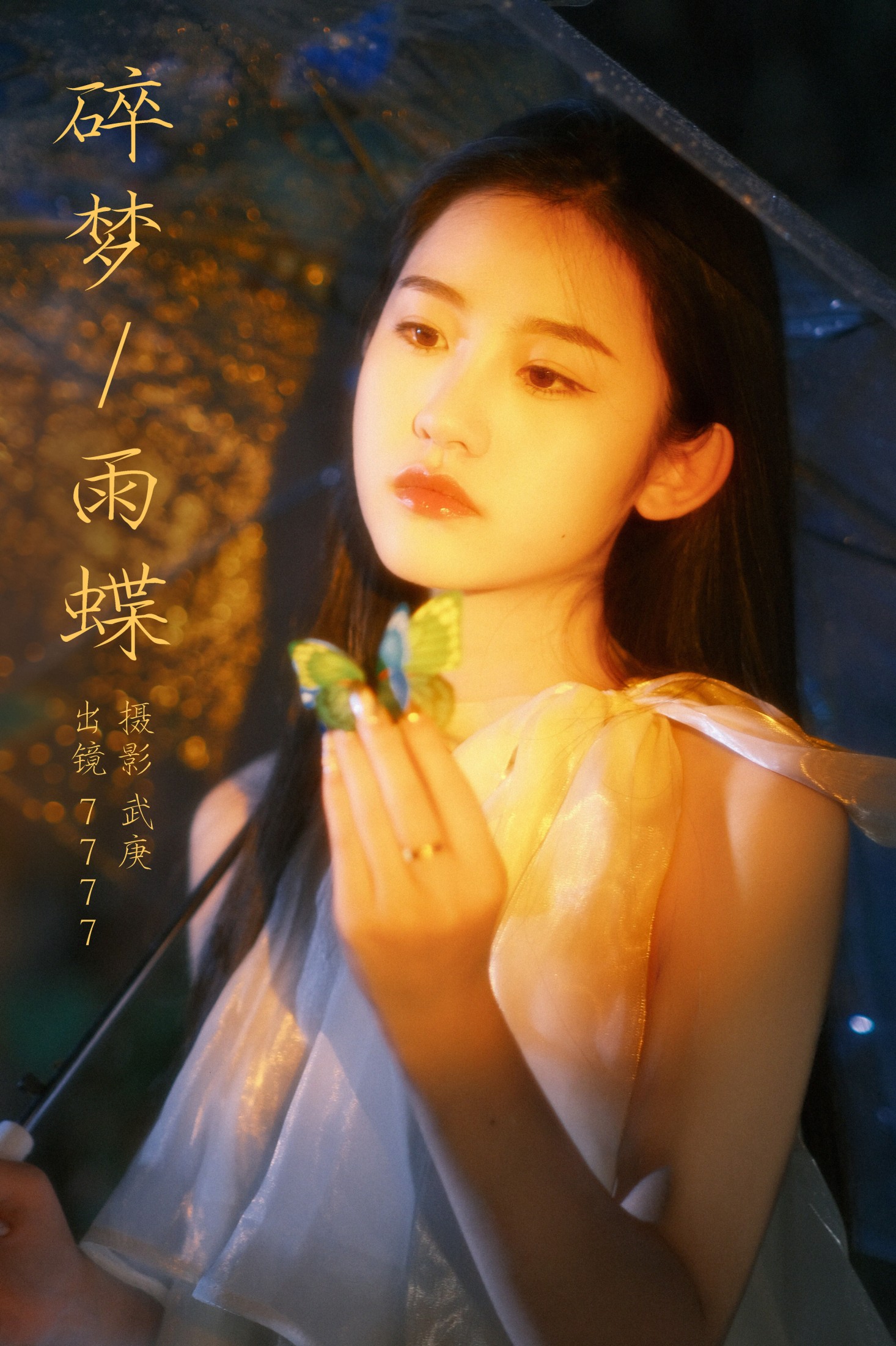 seven – 《碎梦雨蝶》[35P]