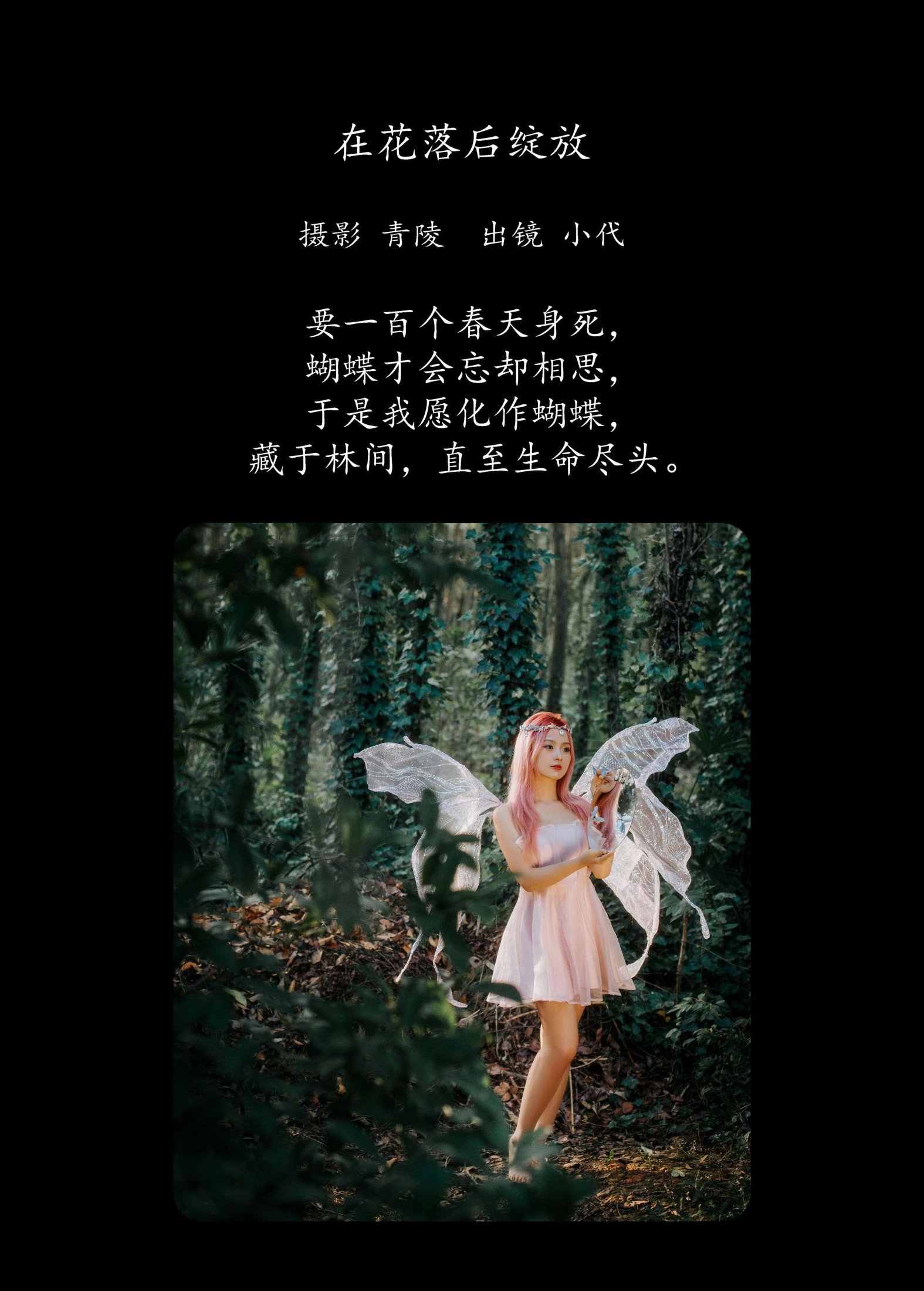 羔丽代 – 《在花落后绽放》[27P]