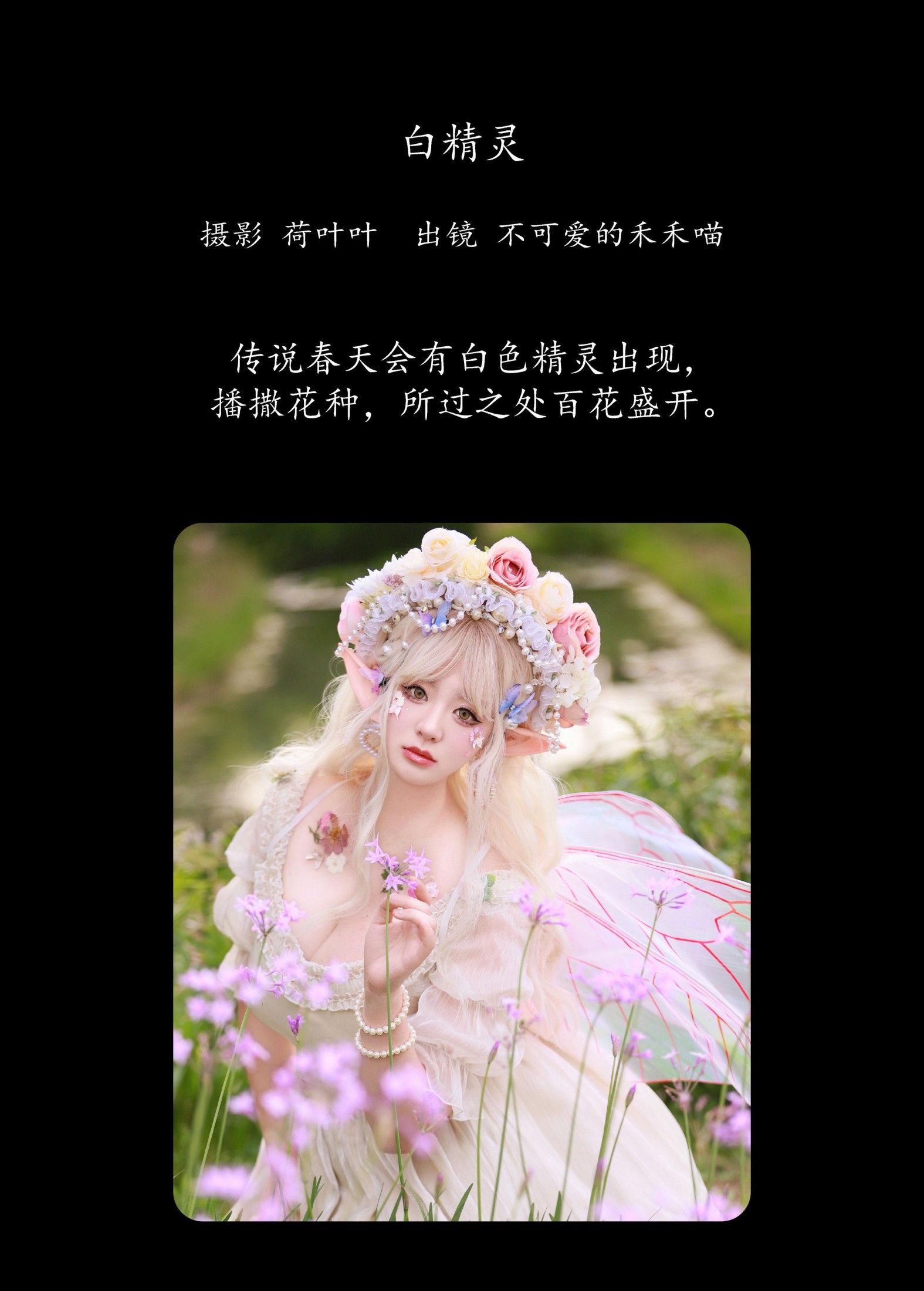 不可爱的禾禾喵 – 《白精灵》[22P]