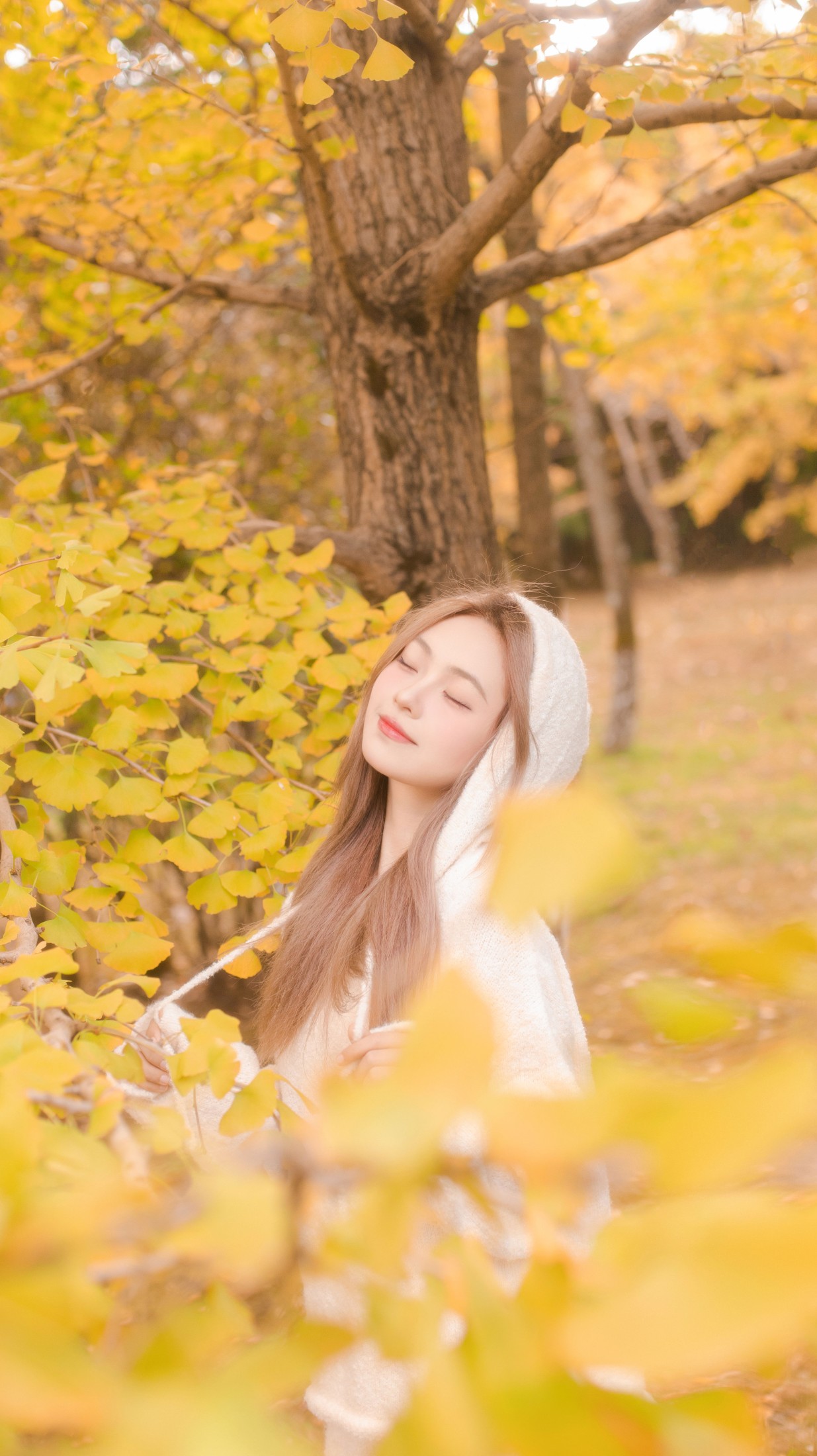 羔丽代 – 《沁入秋风的温柔》[33P]