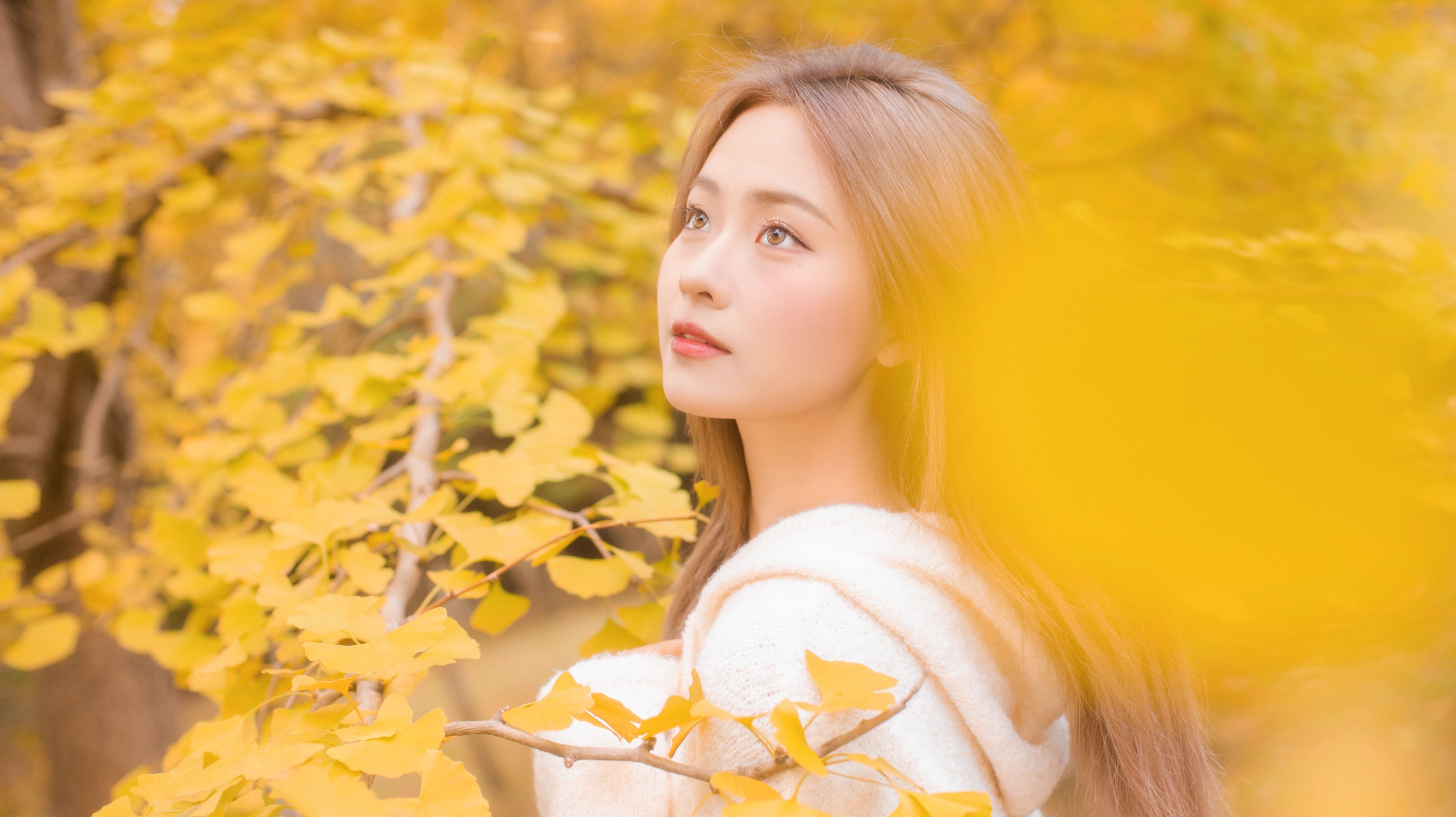 羔丽代 – 《沁入秋风的温柔》[33P]