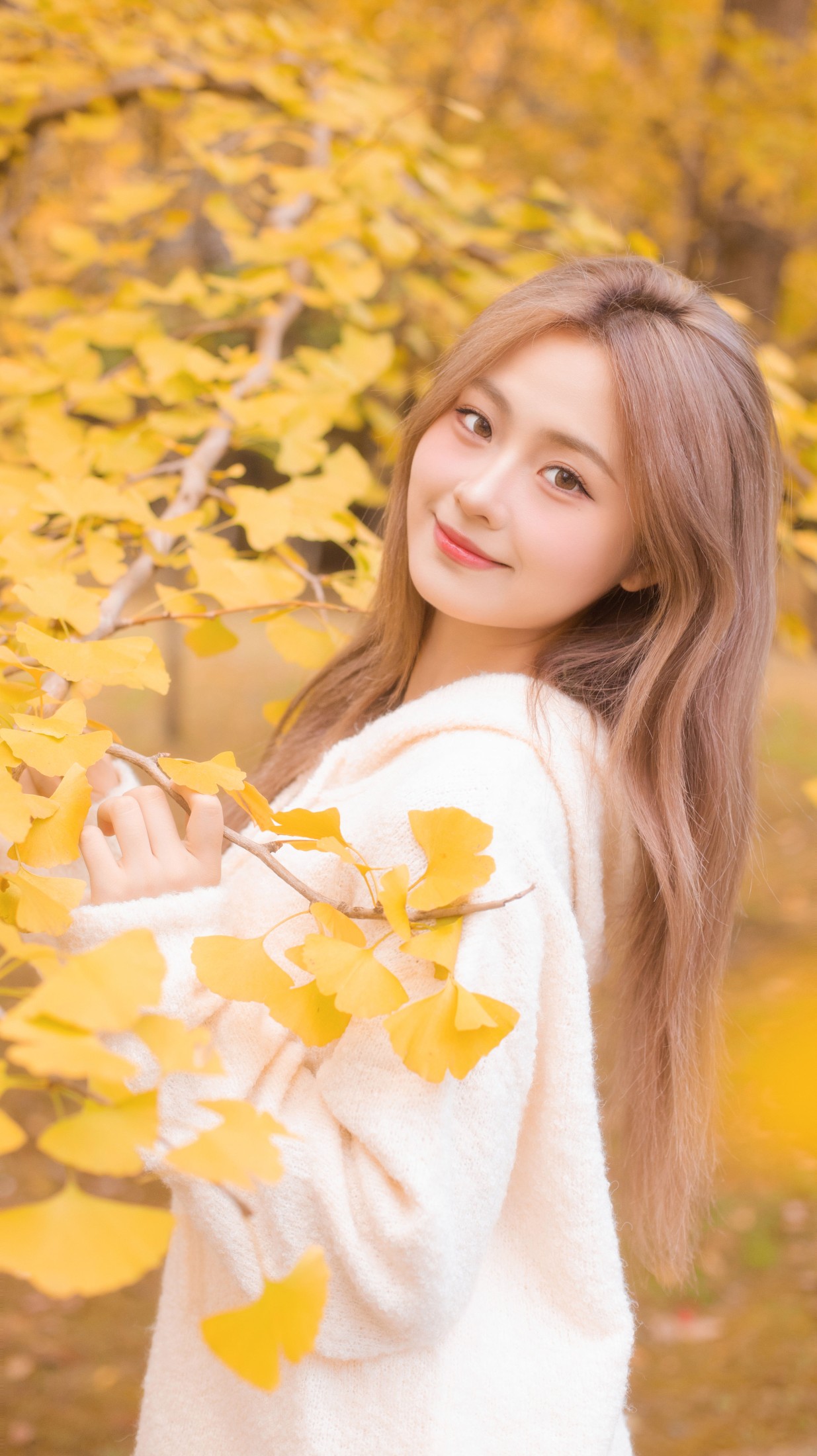 羔丽代 – 《沁入秋风的温柔》[33P]