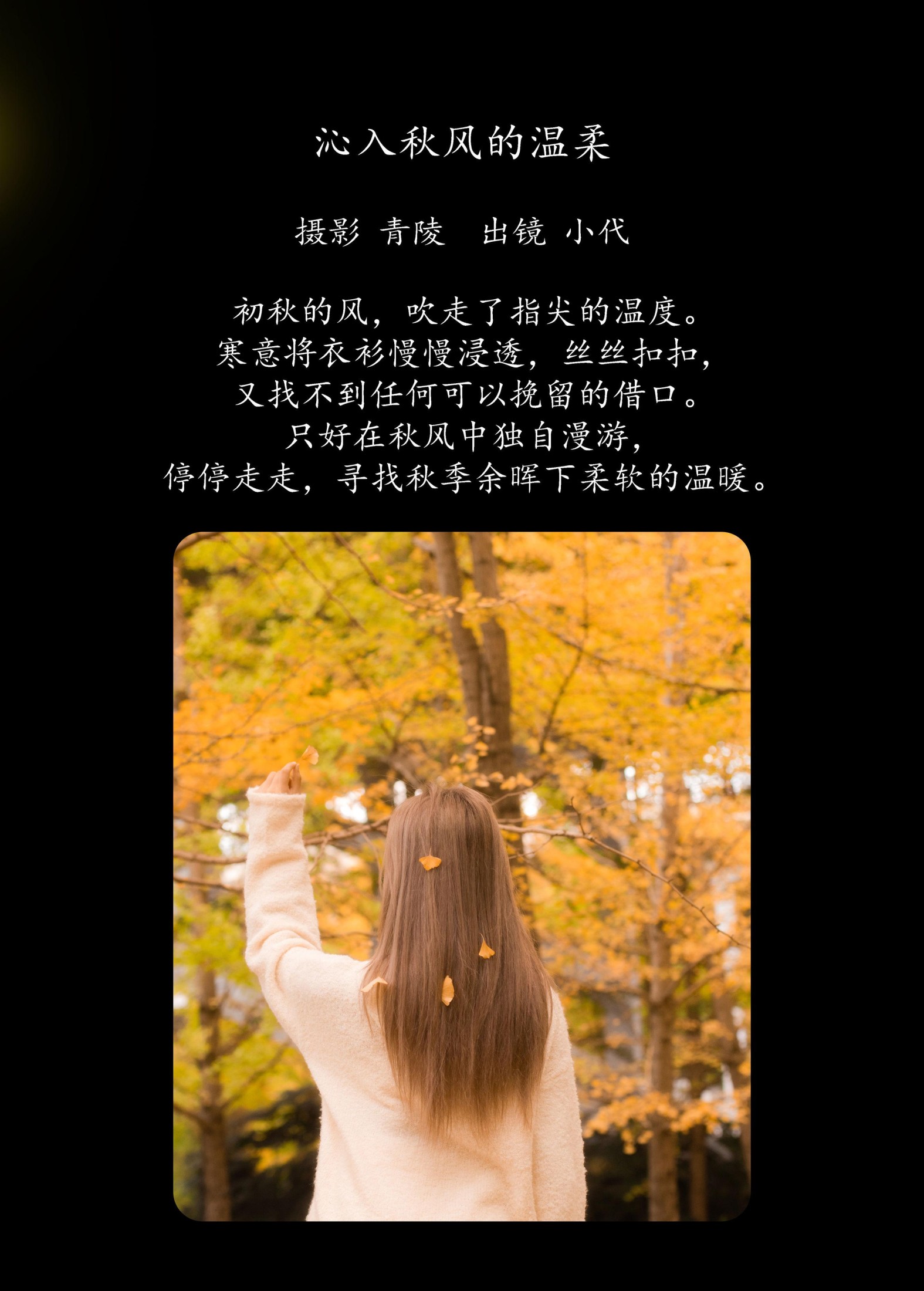 羔丽代 – 《沁入秋风的温柔》[33P]