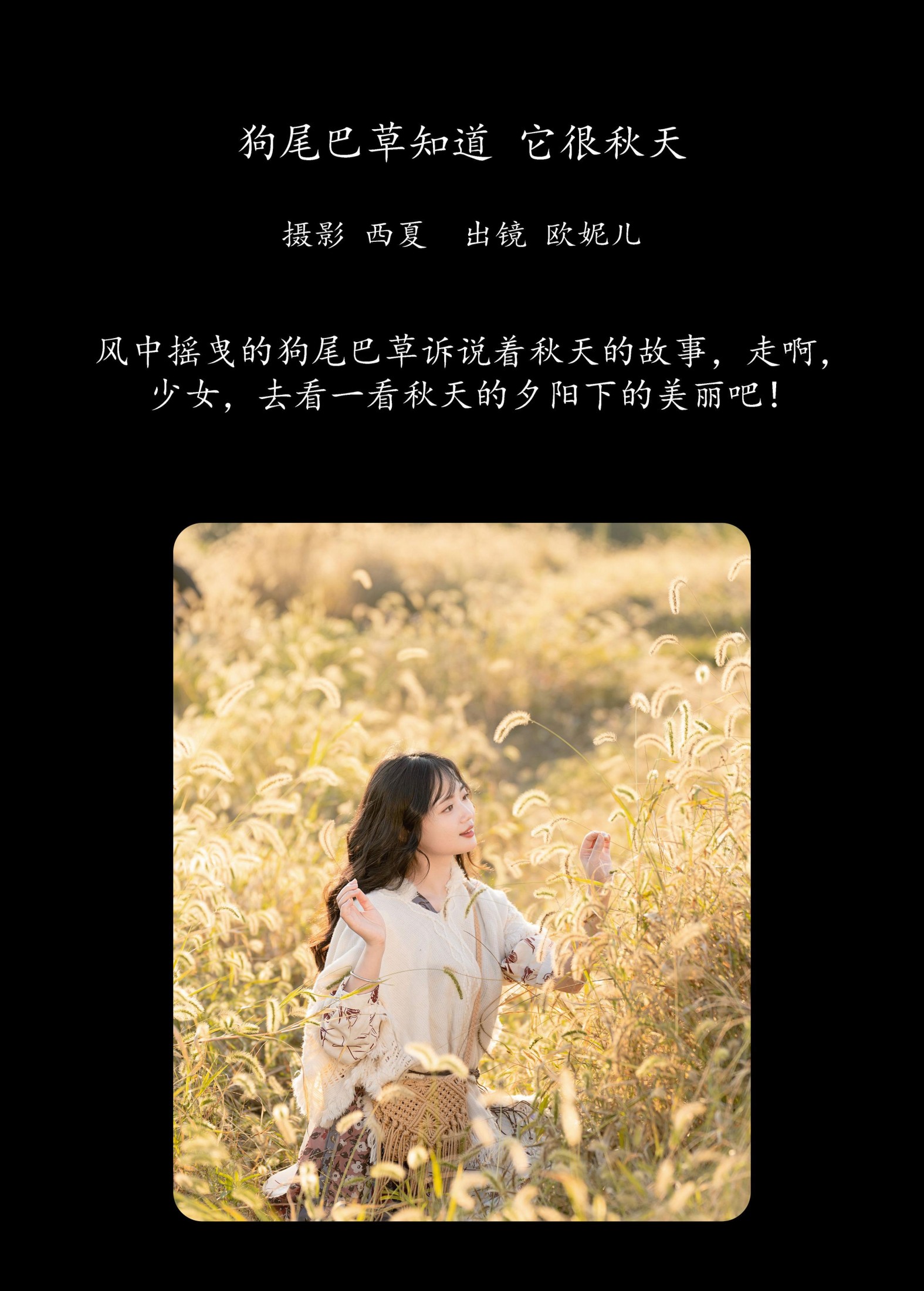 小欧O – 《狗尾巴草知道，它很秋天》[24P]