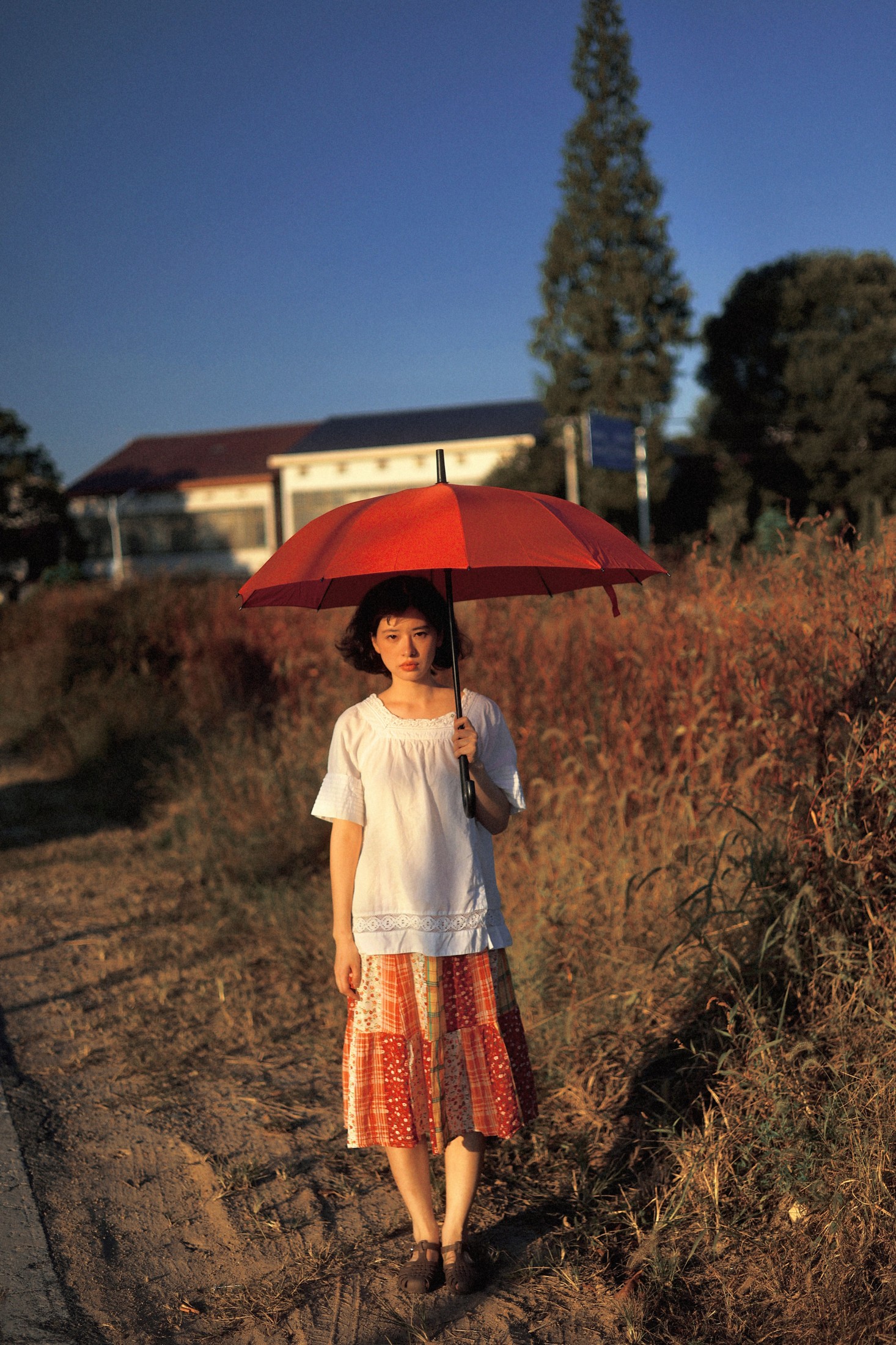 汤圆君0v0 – 《金色梦乡》[35P]