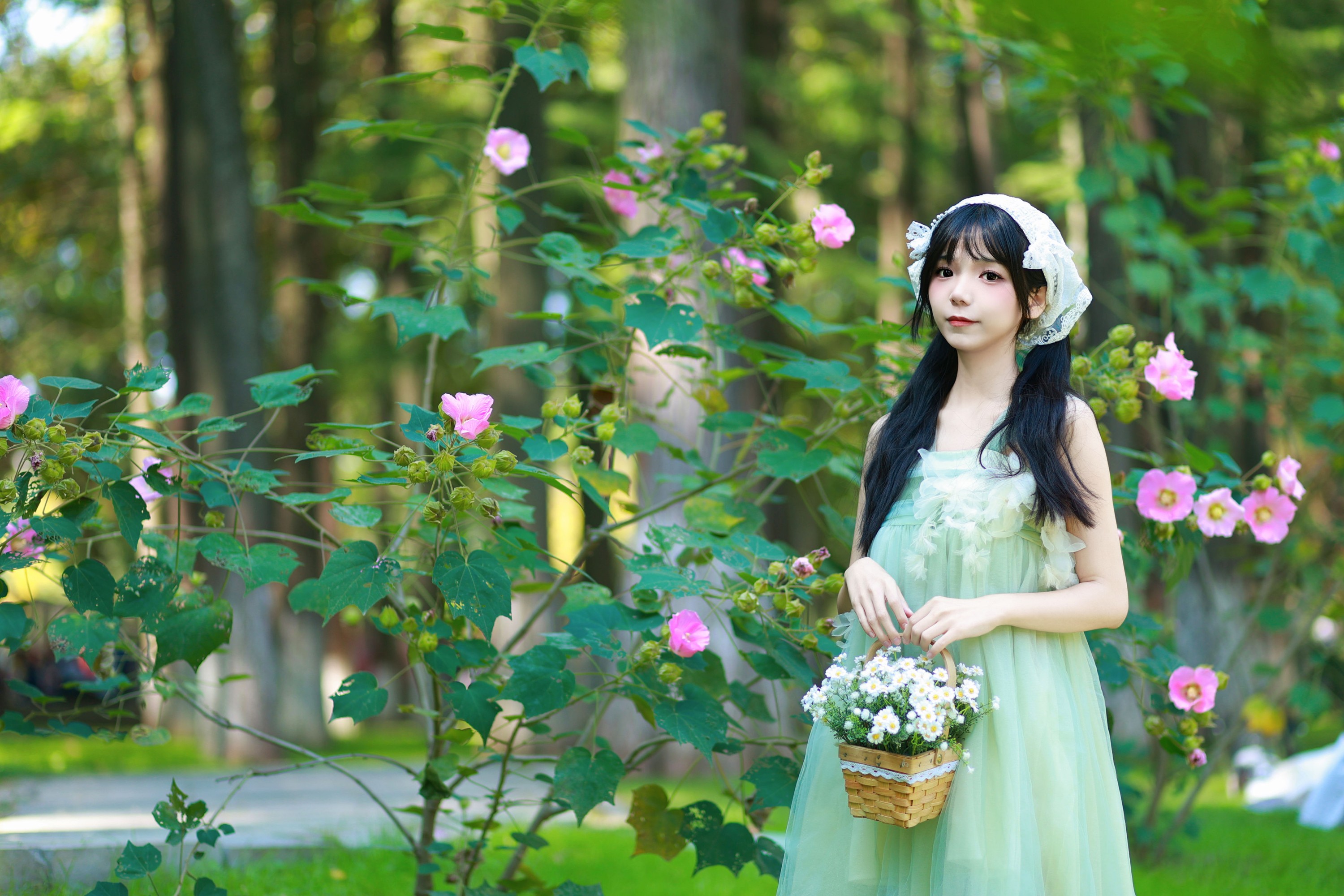 戒软糖 – 《木棉花春天》[26P]