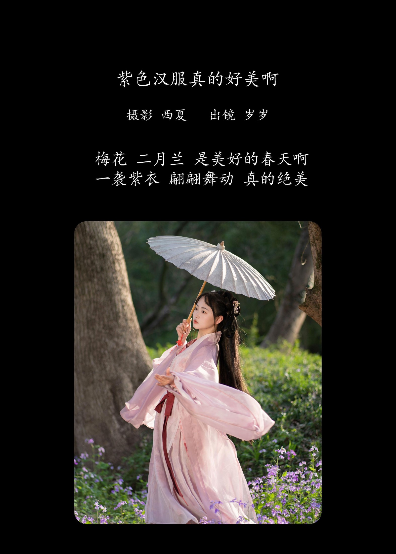 湫一只岁岁 – 《紫色汉服真的好美啊》[26P]