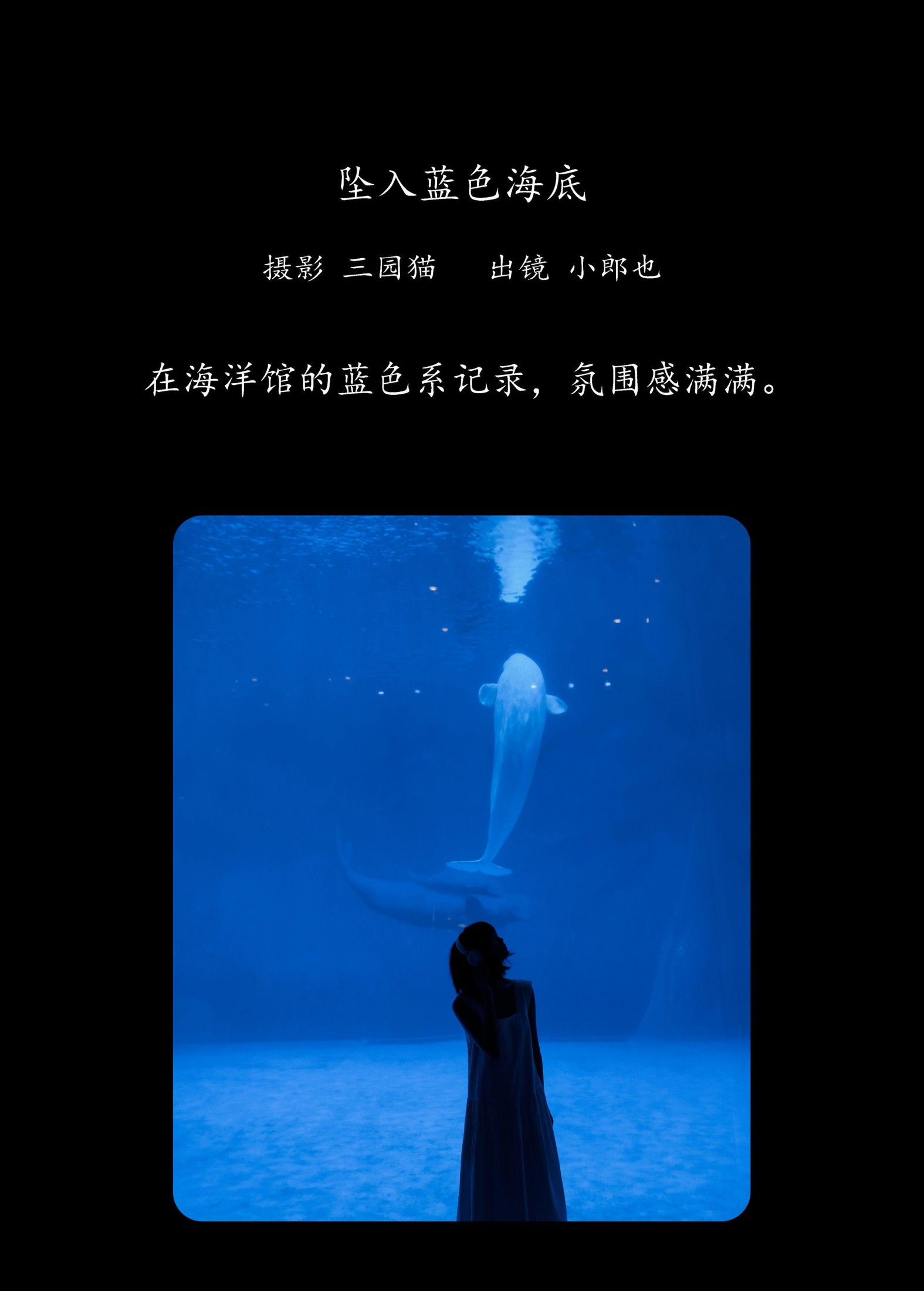 小郎也 – 《坠入蓝色海底》[26P]