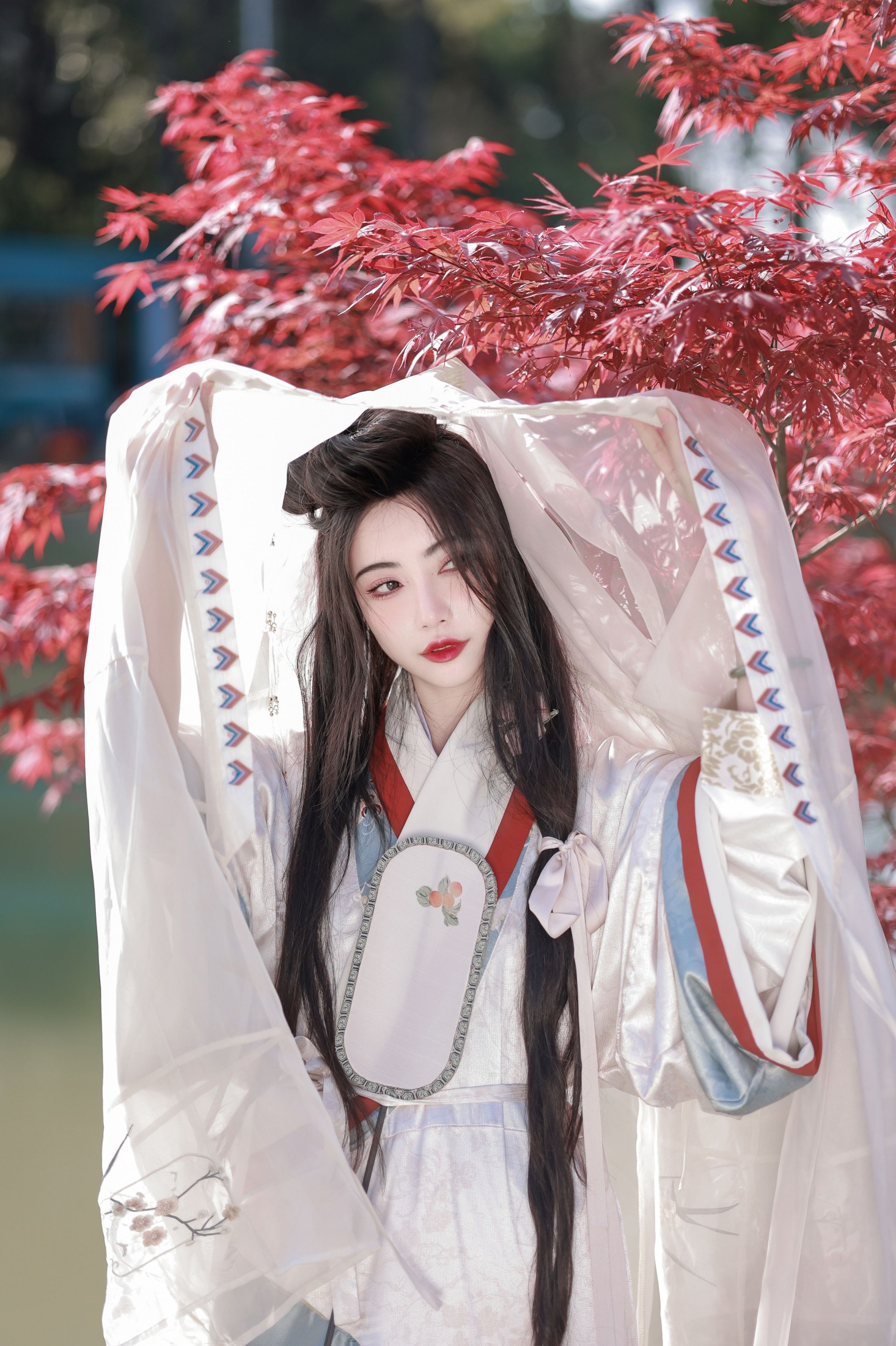 兰因 – 《上邪》[23P]