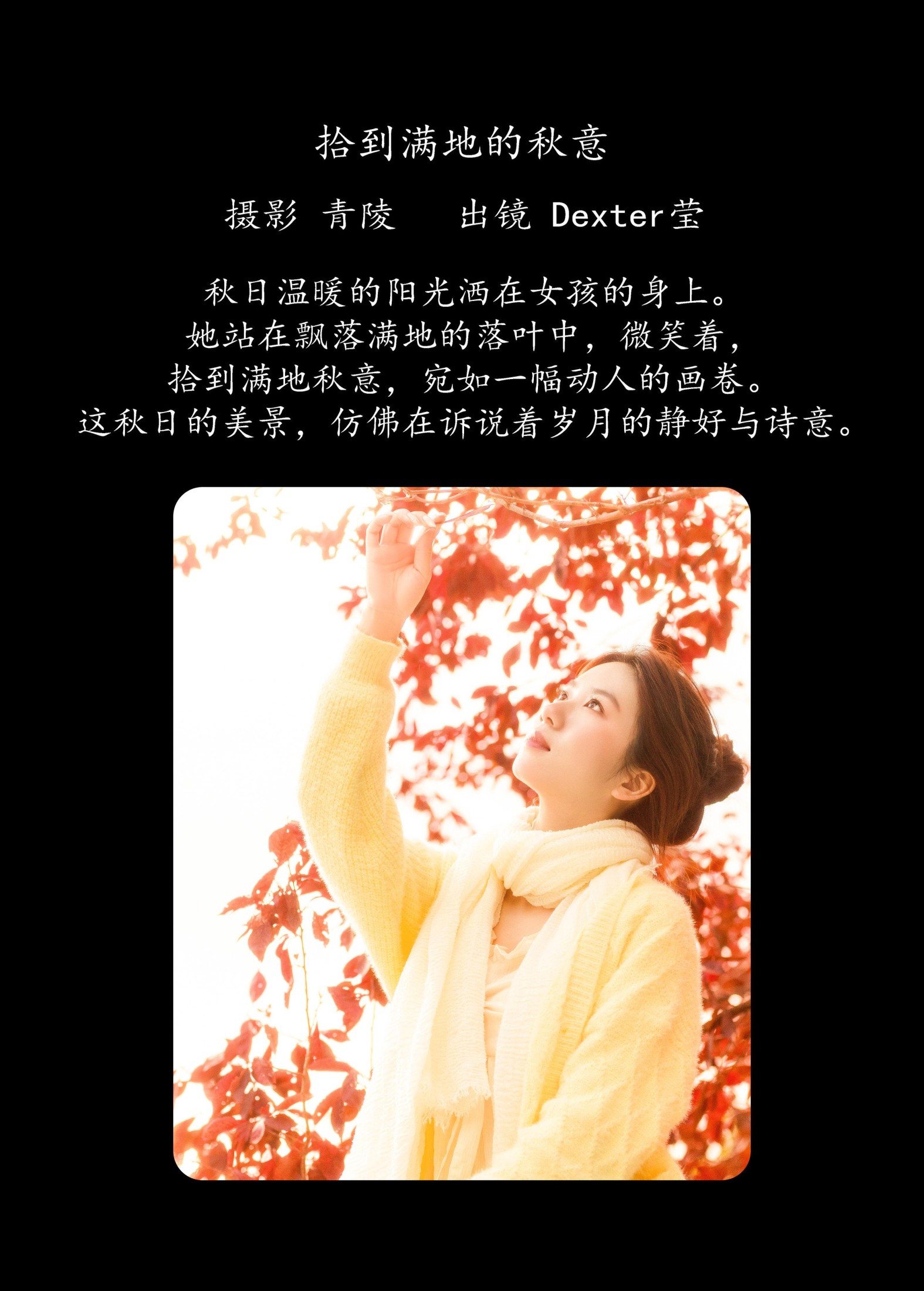 Dexter莹 – 《拾到满地的秋意》[26P]