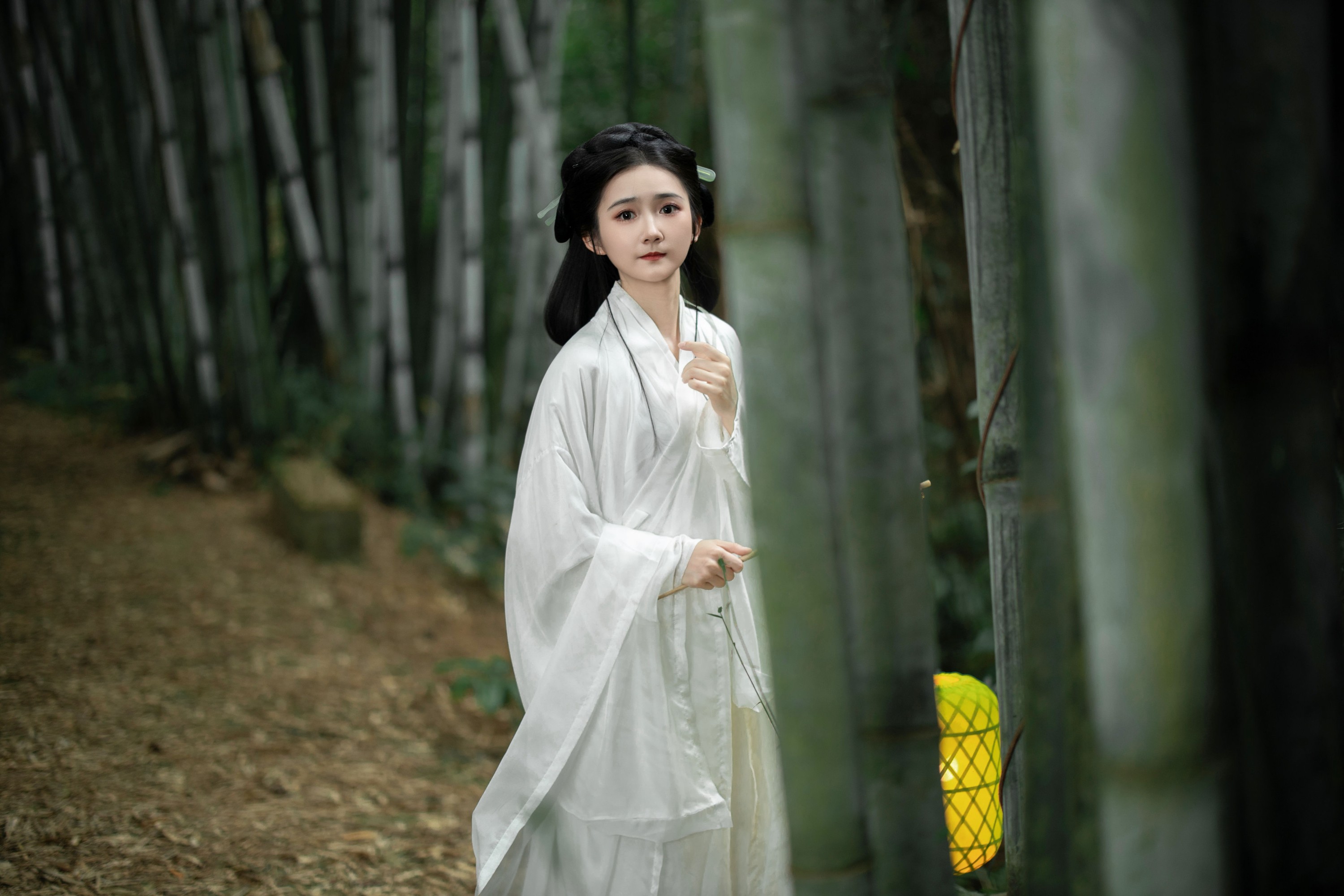 蛋糕的蛋蛋 – 《微风竹林》[22P]