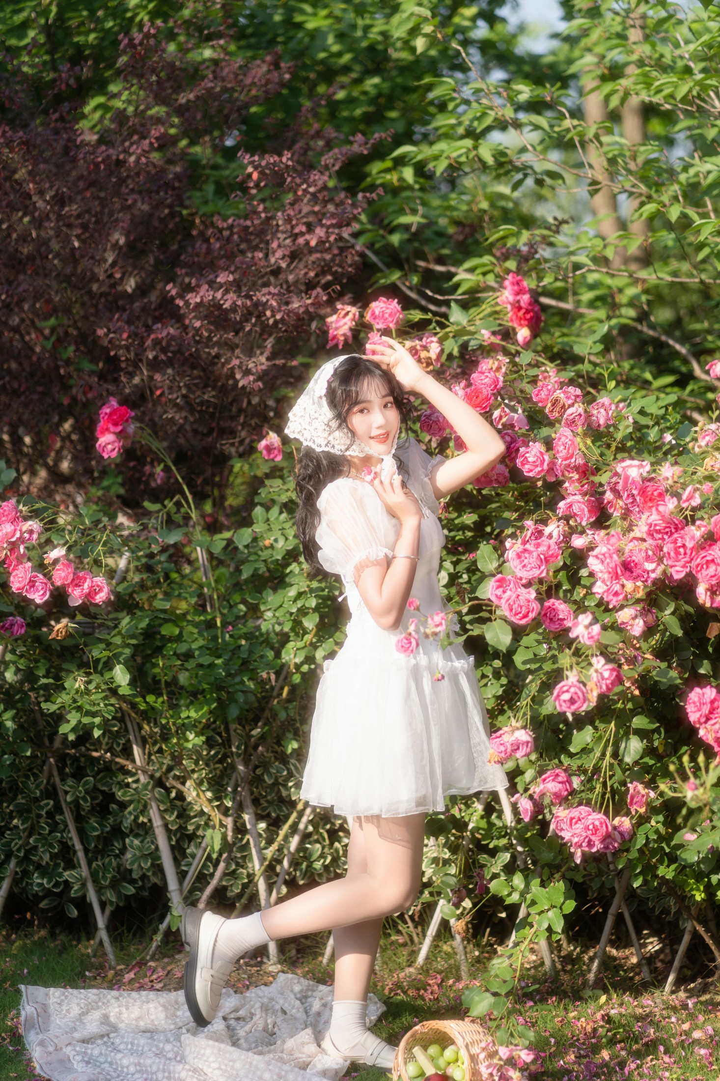 小欧O – 《沉醉蔷薇花海》[24P]