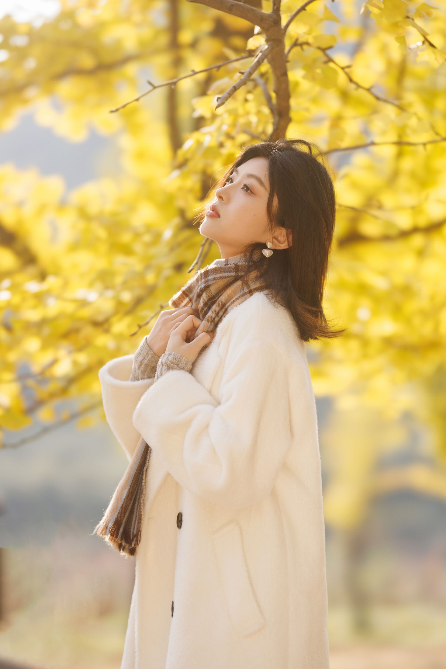 张张包 – 《秋日银杏》[23P]