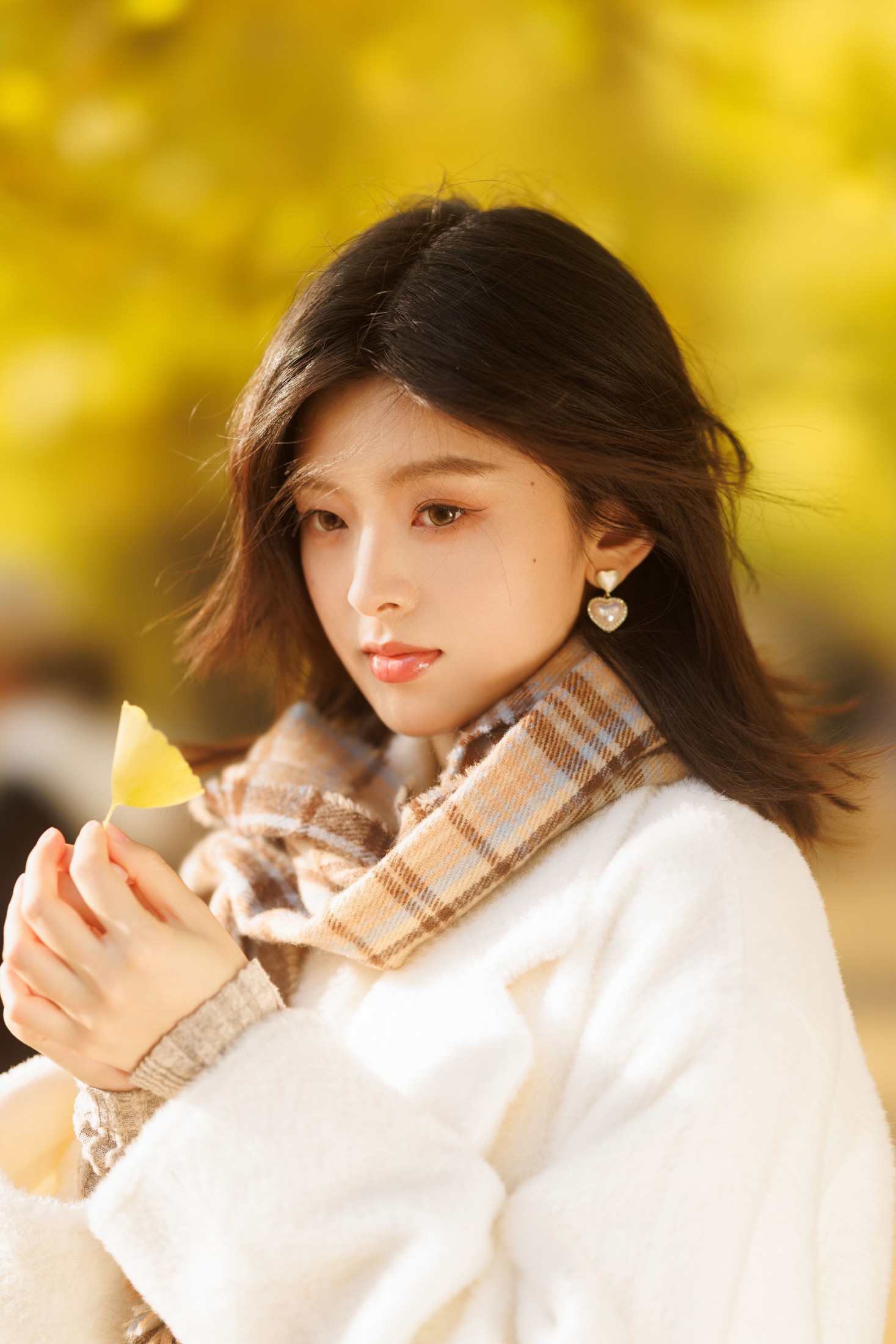 张张包 – 《秋日银杏》[23P]