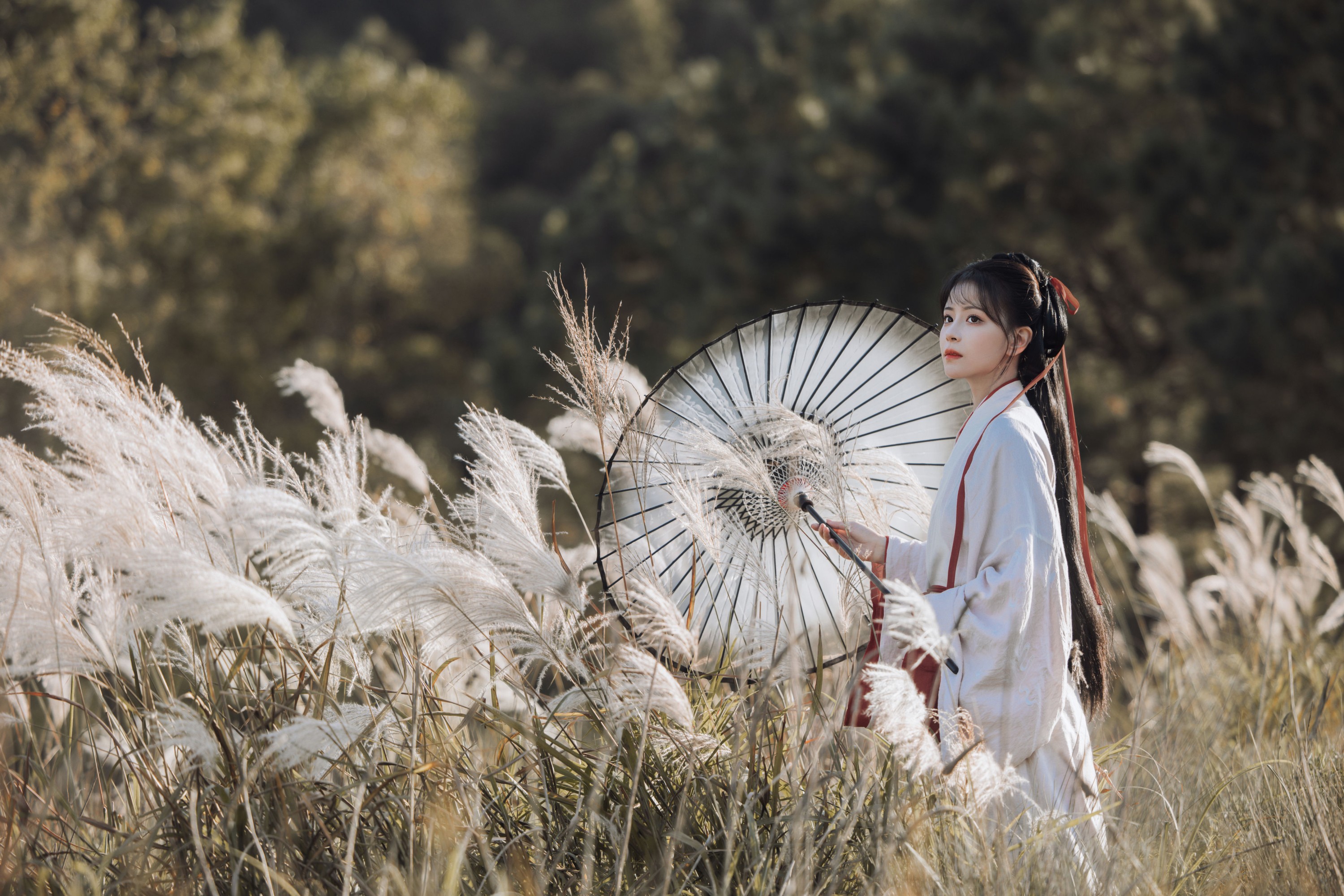 公子不坏 – 《蒹葭苍苍》[22P]