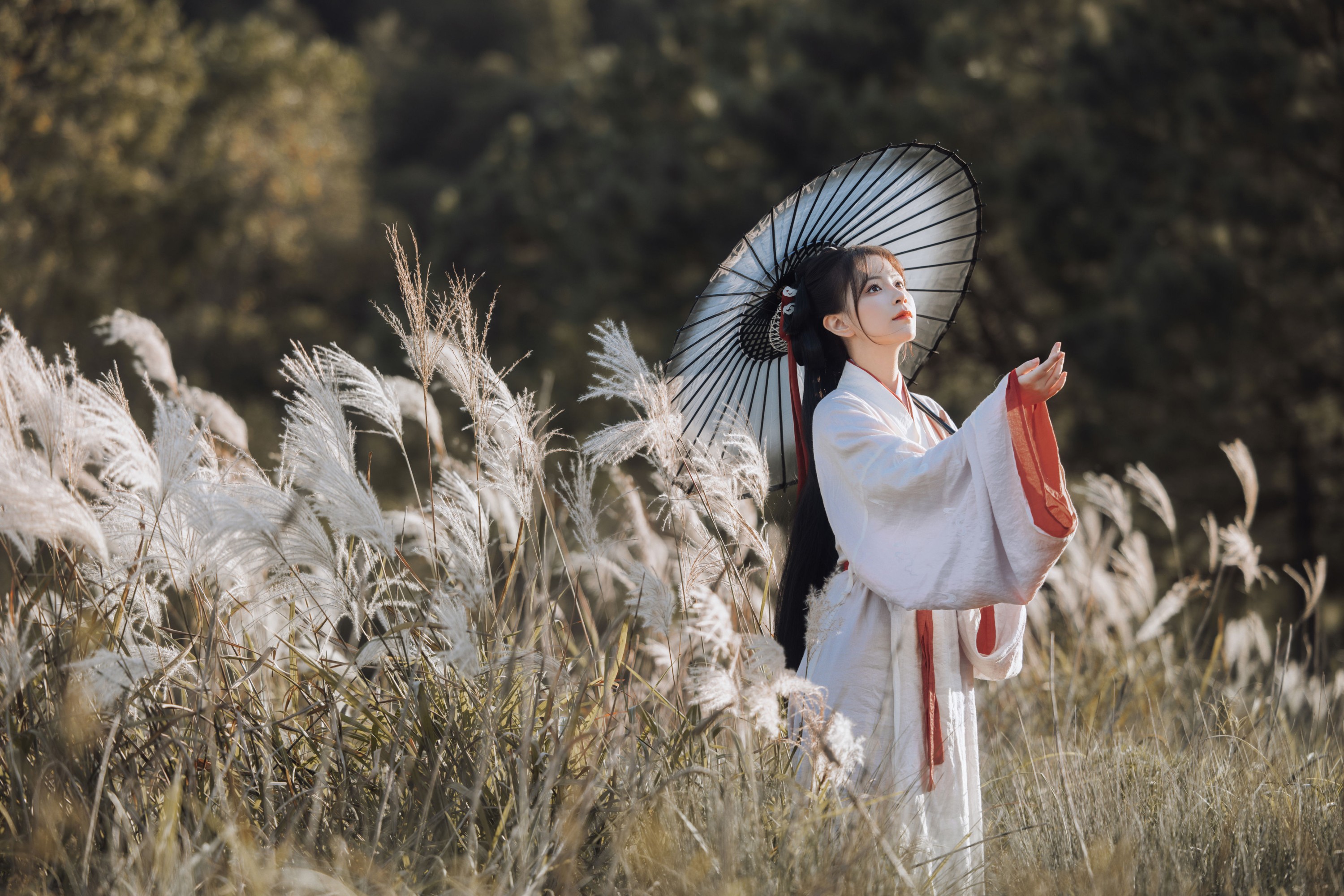 公子不坏 – 《蒹葭苍苍》[22P]