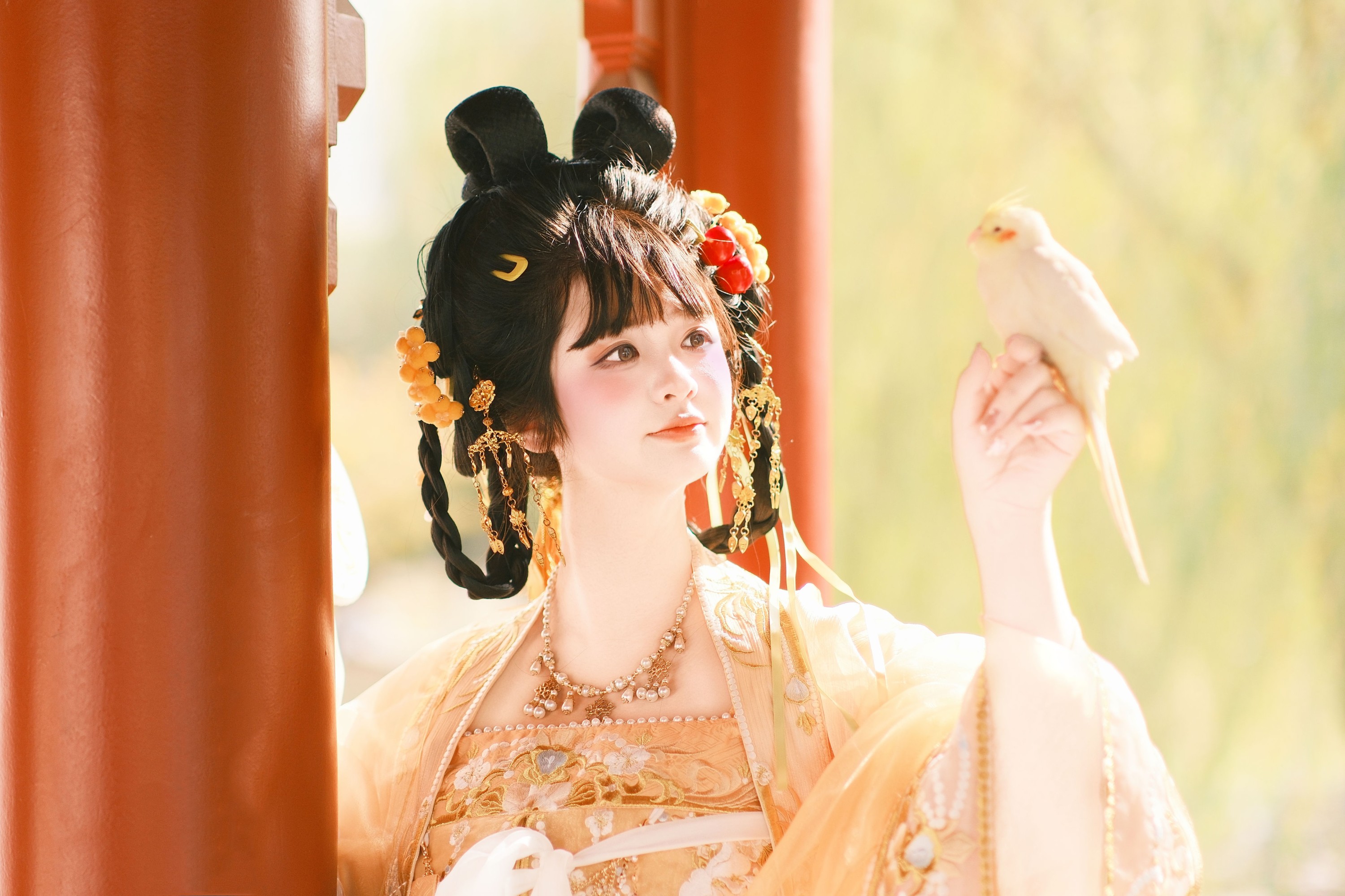 不可爱的禾禾喵 – 《金雀》[29P]