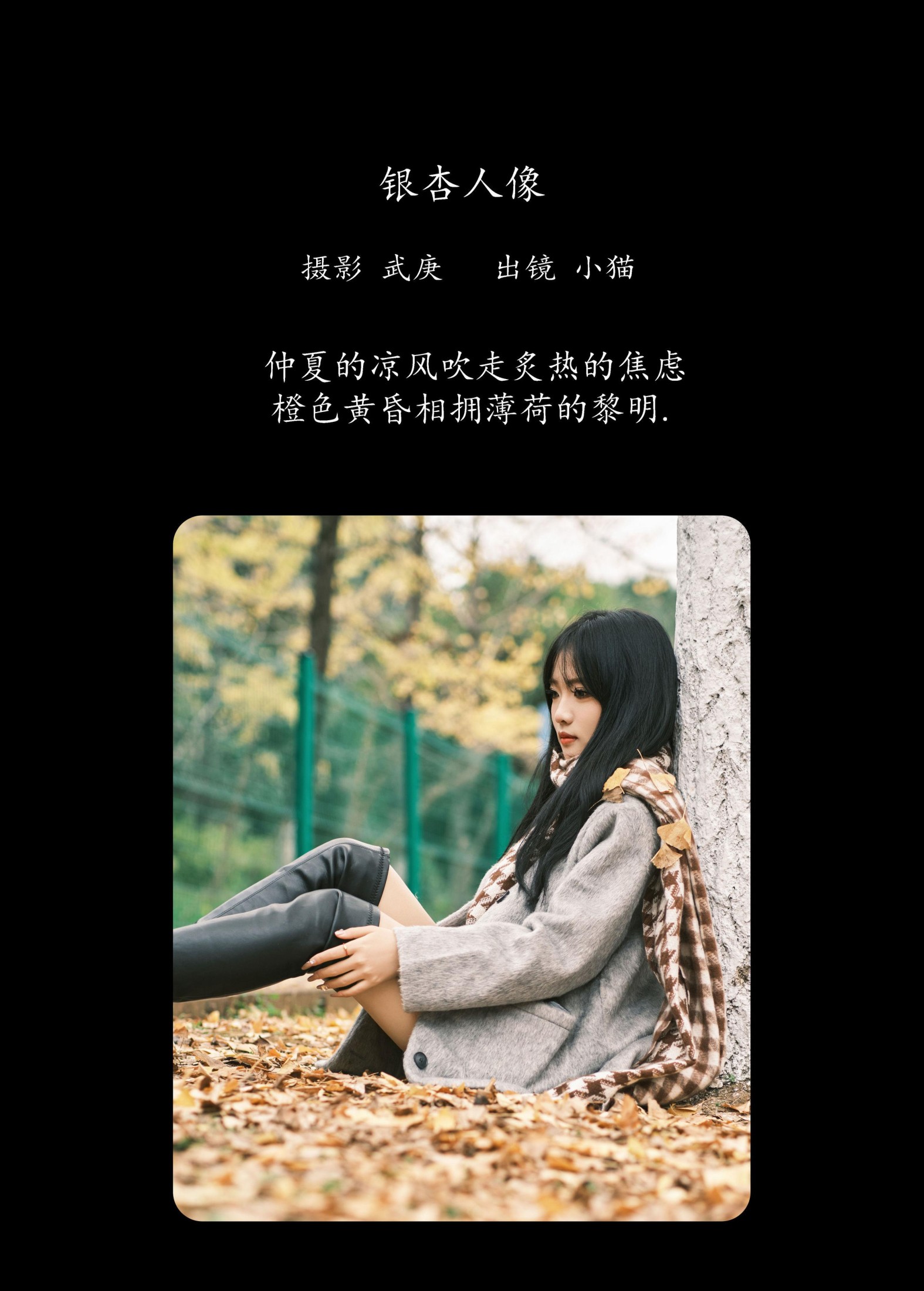 小猫 – 《银杏人像》[25P]