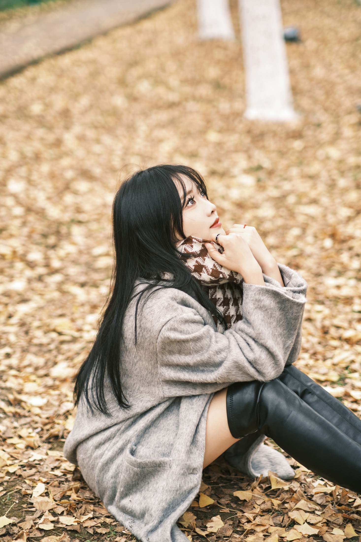 小猫 – 《银杏人像》[25P]