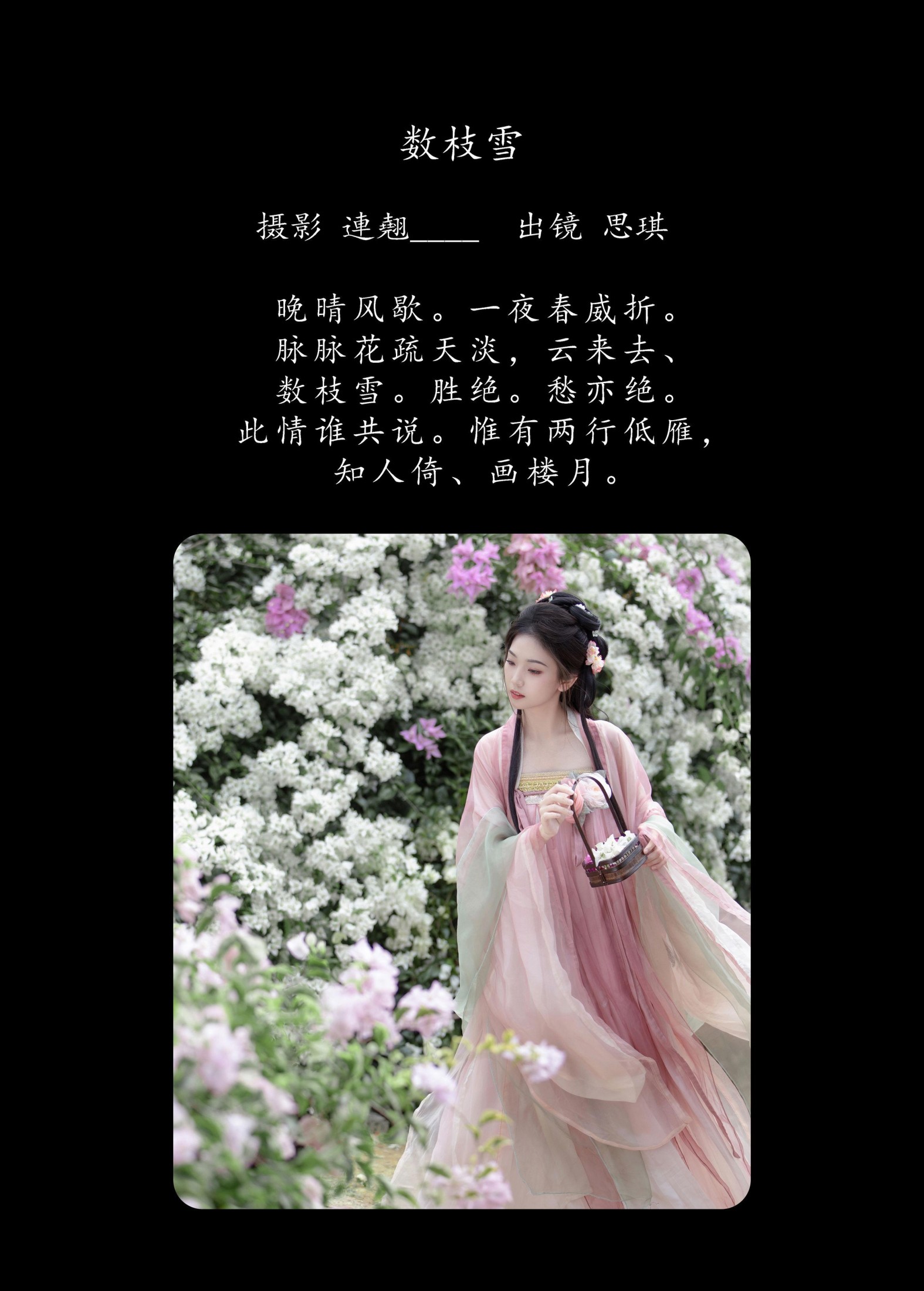 芝芝琪 – 《数枝雪》[44P]
