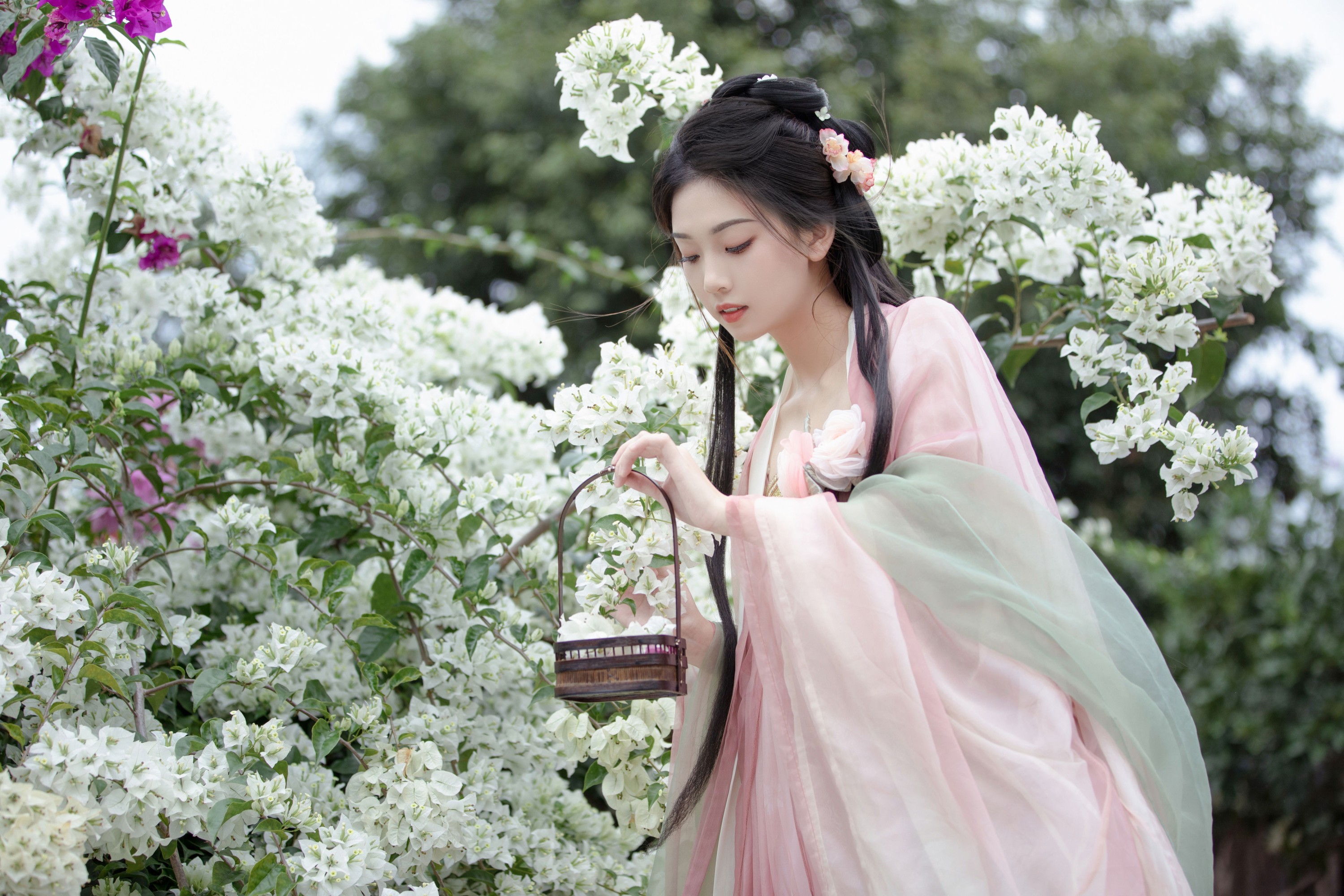 芝芝琪 – 《数枝雪》[44P]