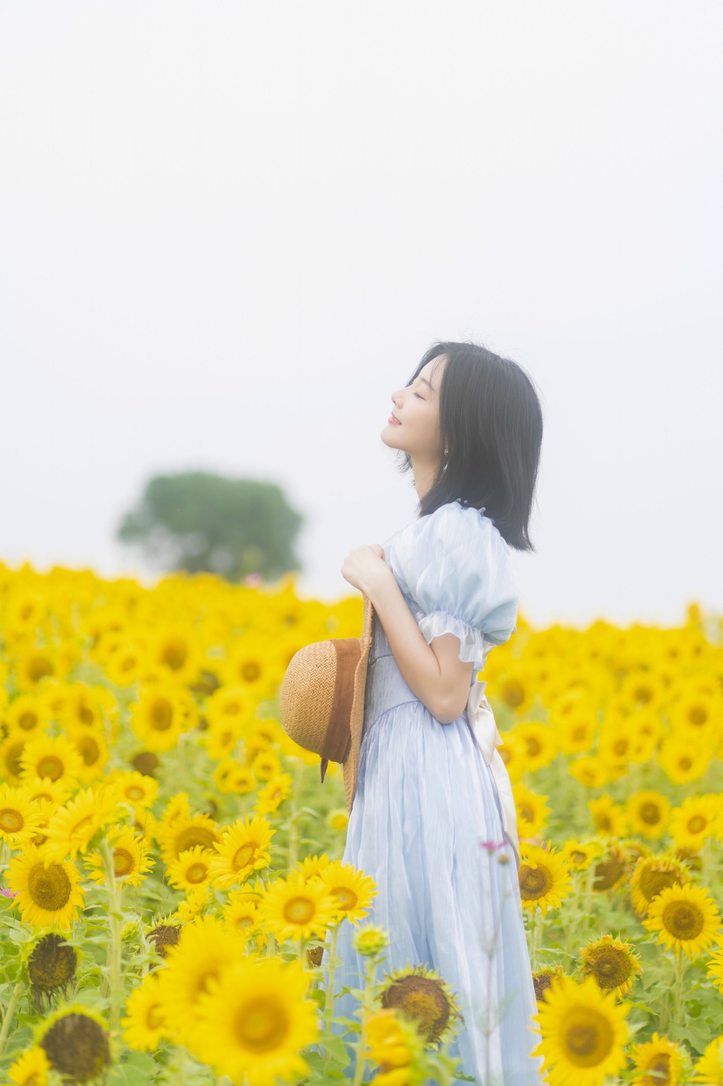 高高 – 《盛放》[23P]