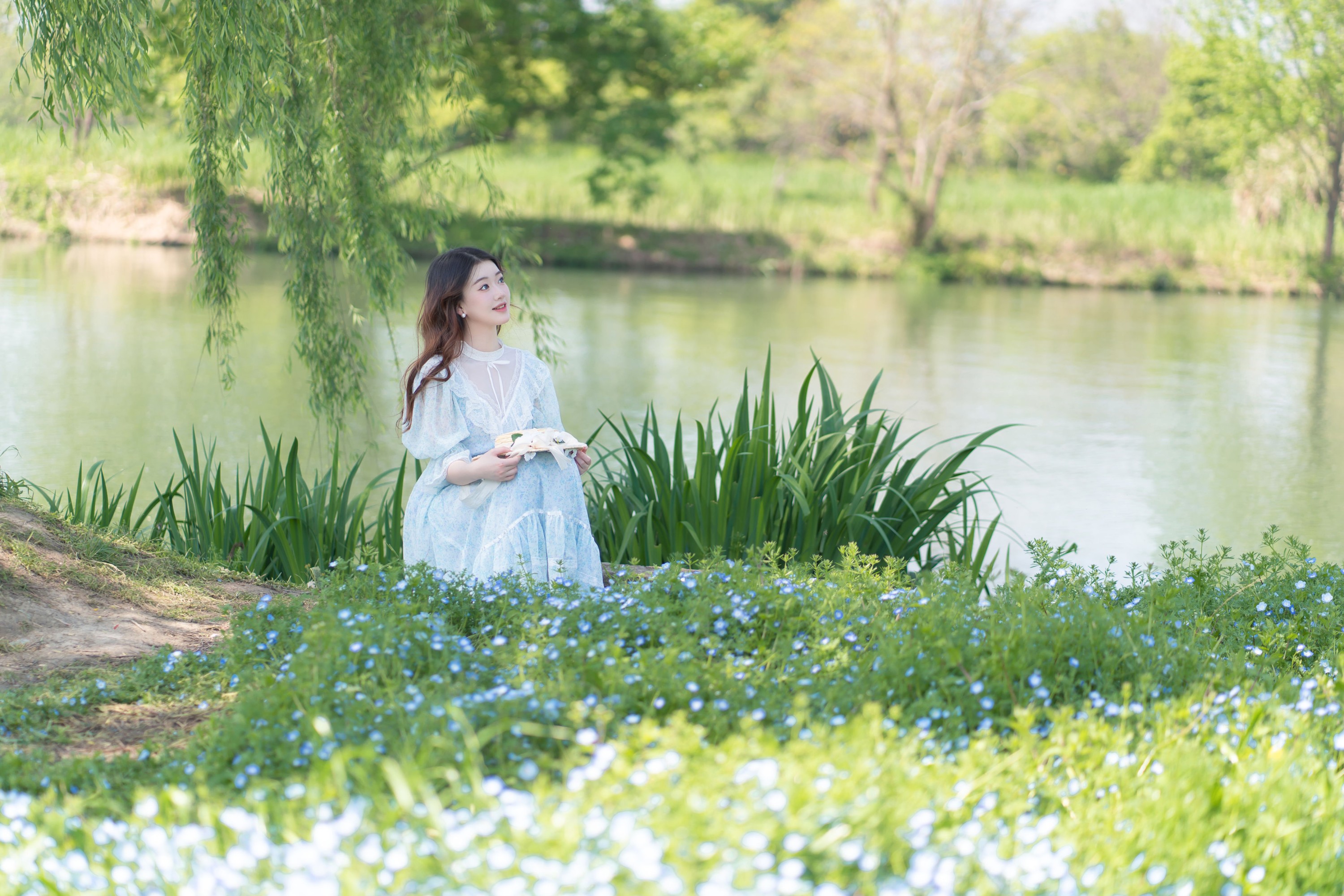 星星泡饭 – 《喜林草的花语》[24P]