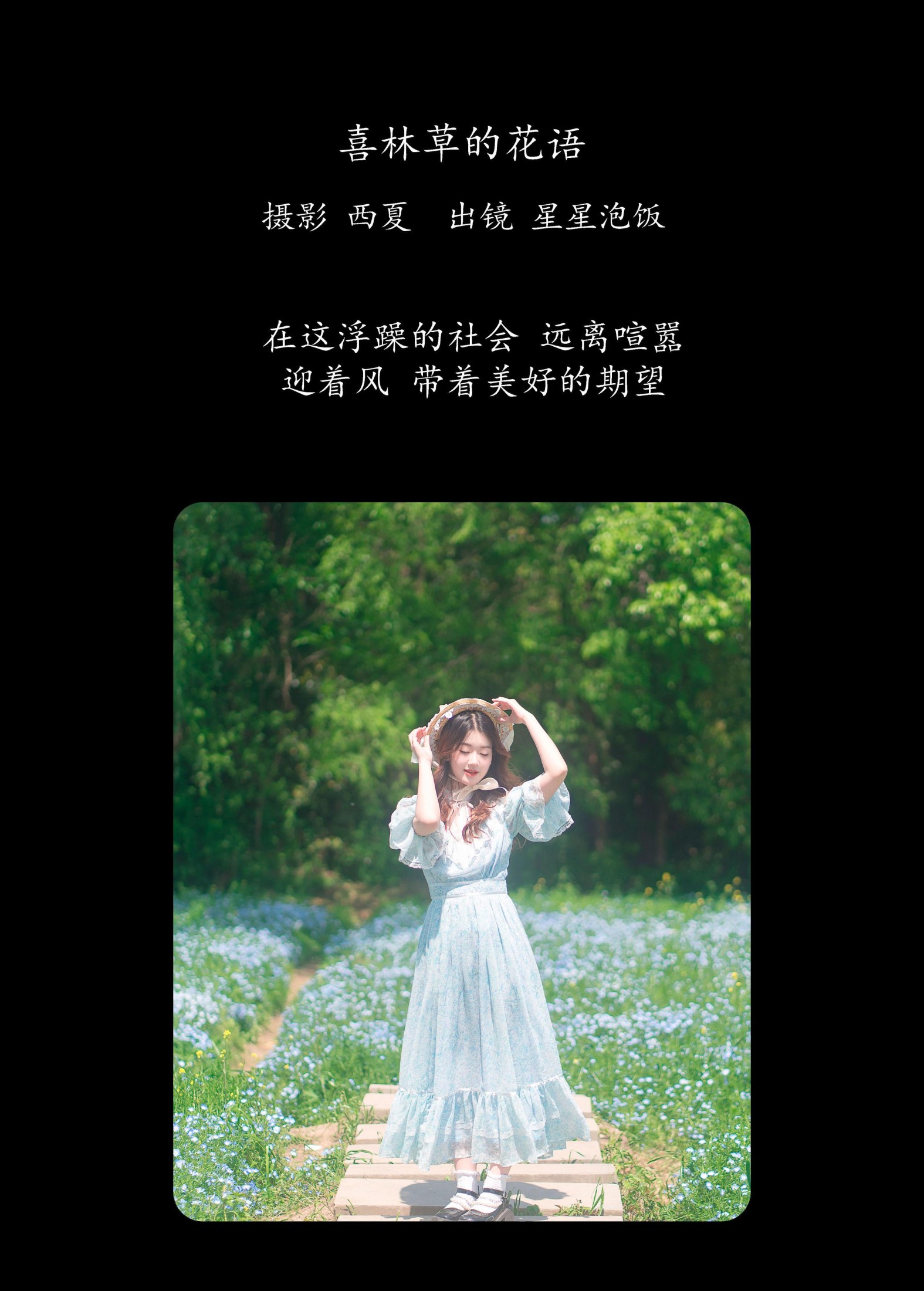 星星泡饭 – 《喜林草的花语》[24P]