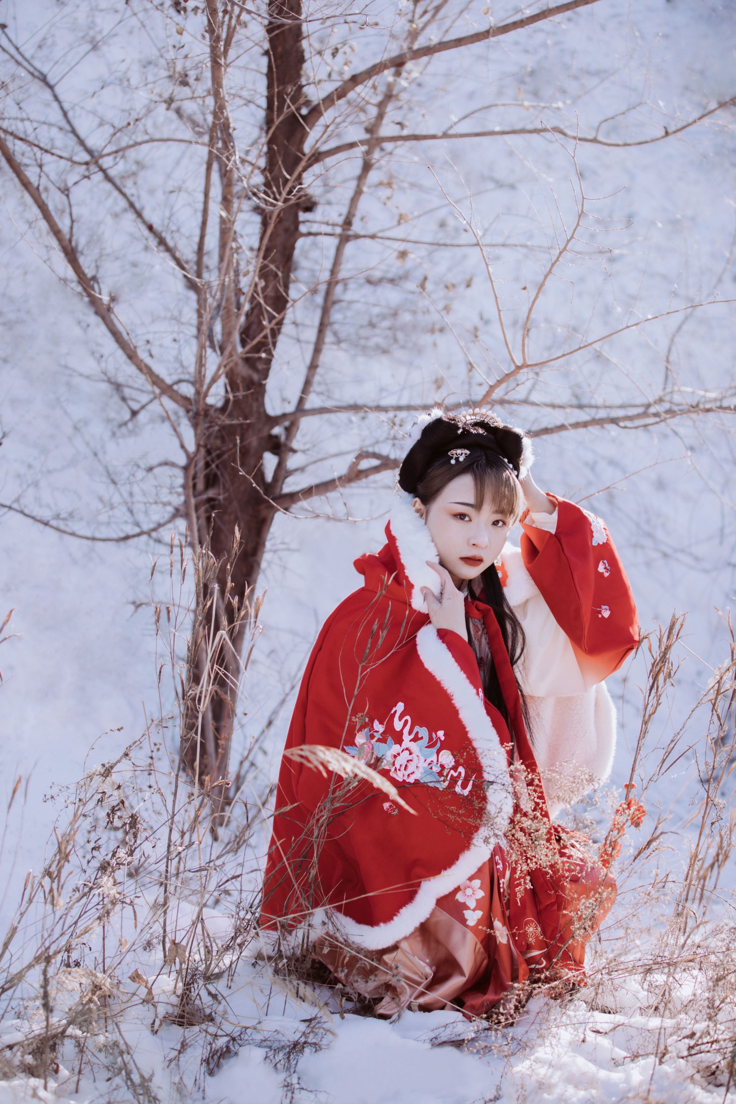 抱抱荔枝_ – 《千山暮雪 只影向谁去》[22P]