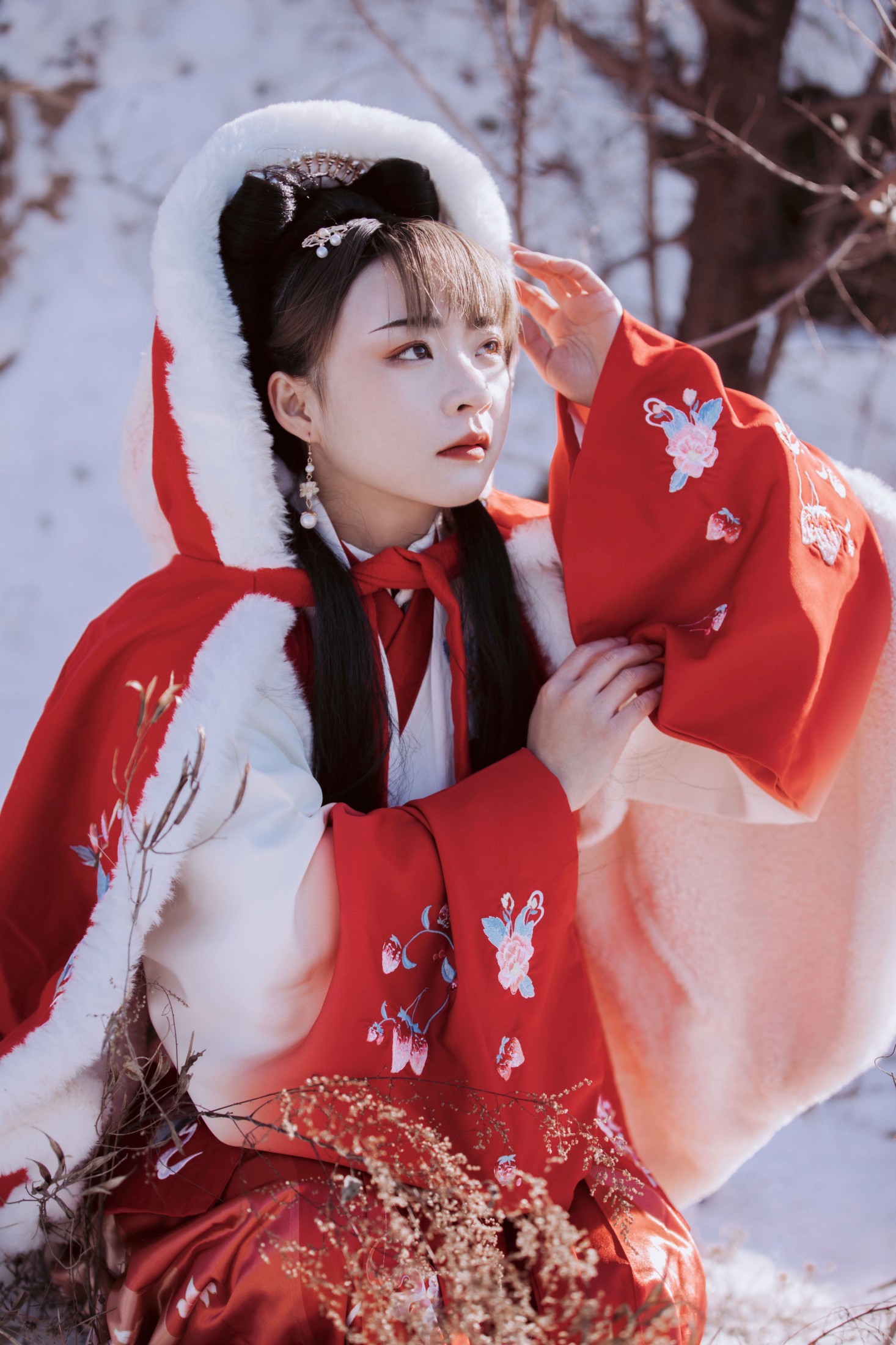 抱抱荔枝_ – 《千山暮雪 只影向谁去》[22P]