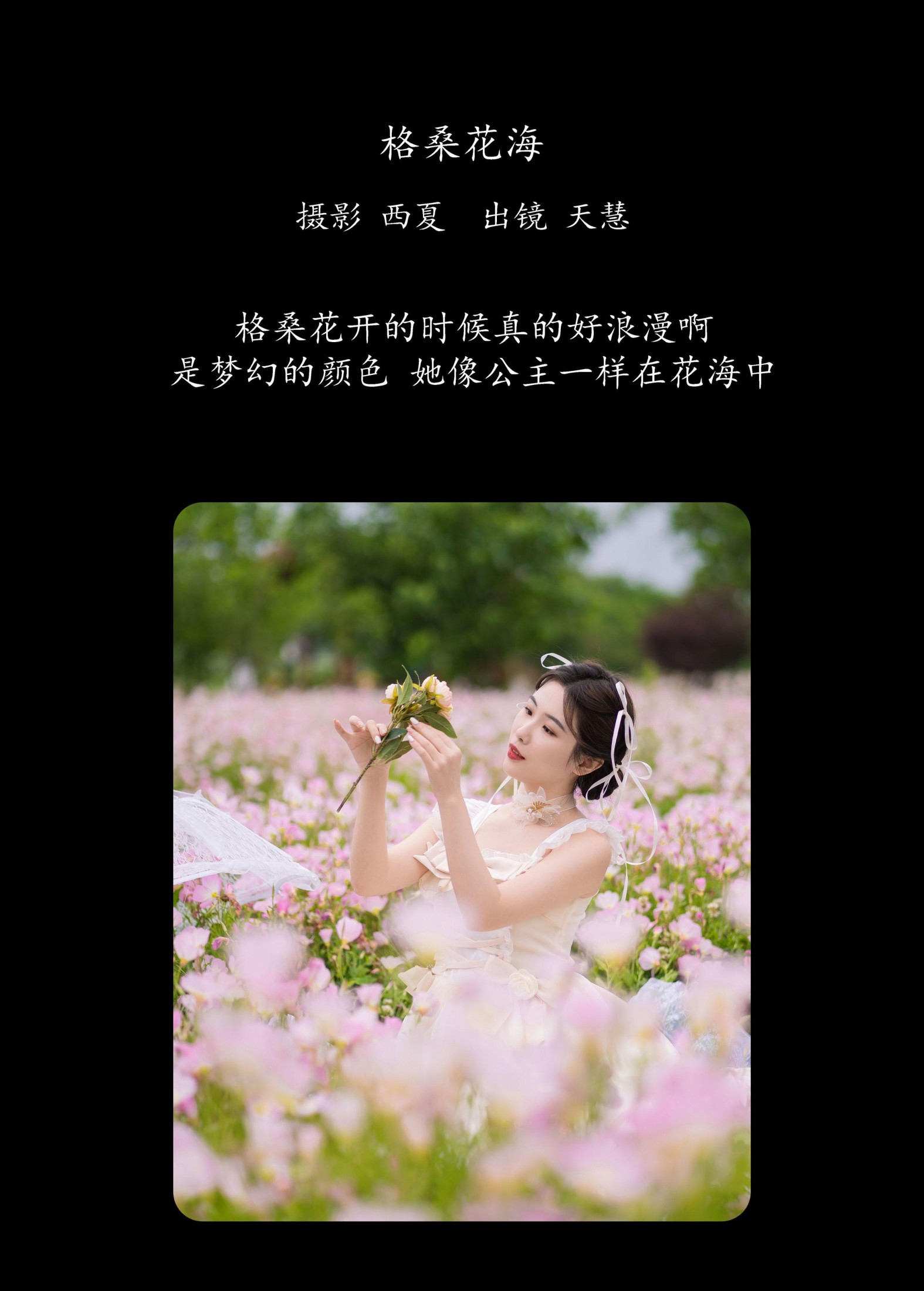 天慧 – 《格桑花海》[25P]