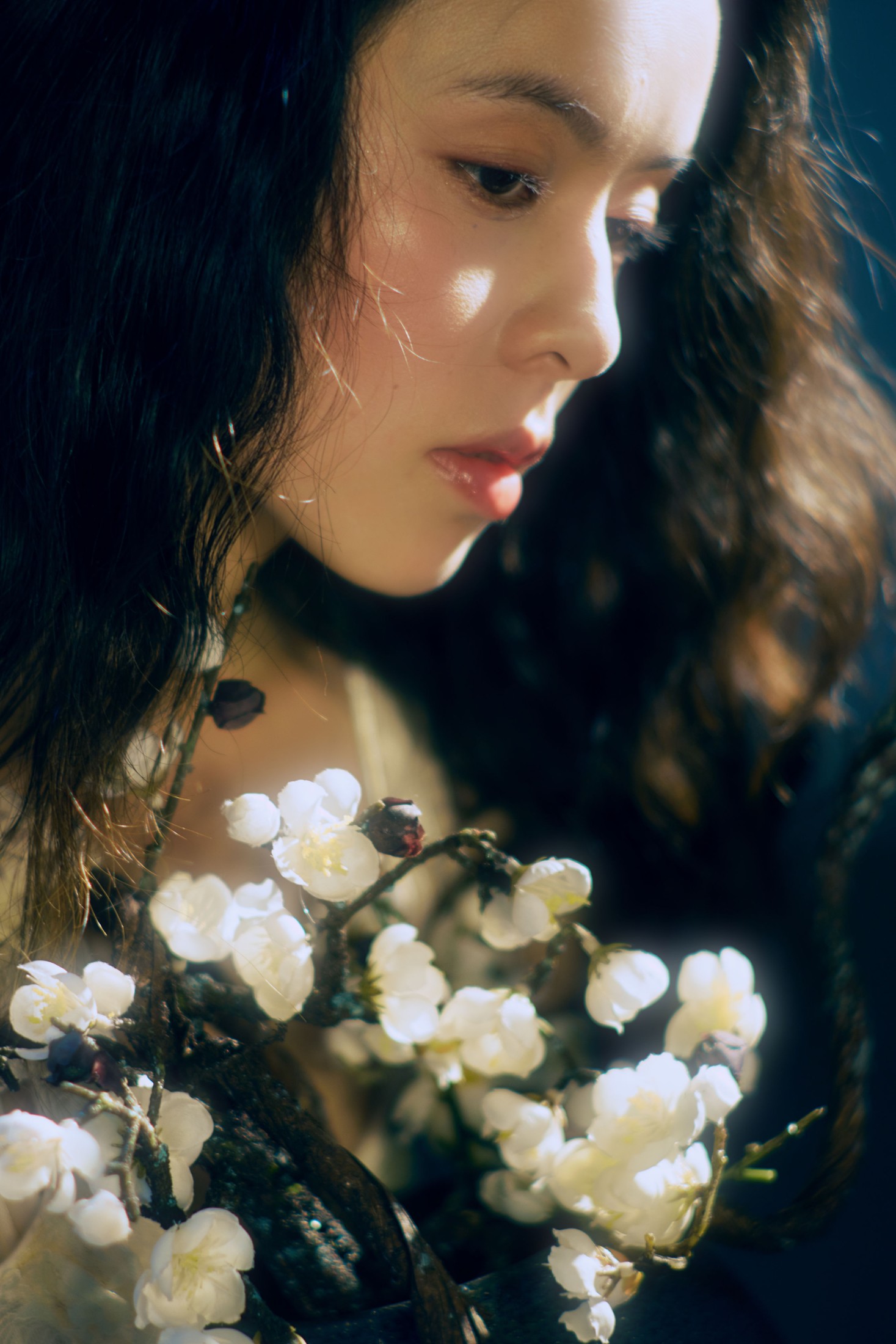 小羊 – 《她的余晖落满地》[25P]