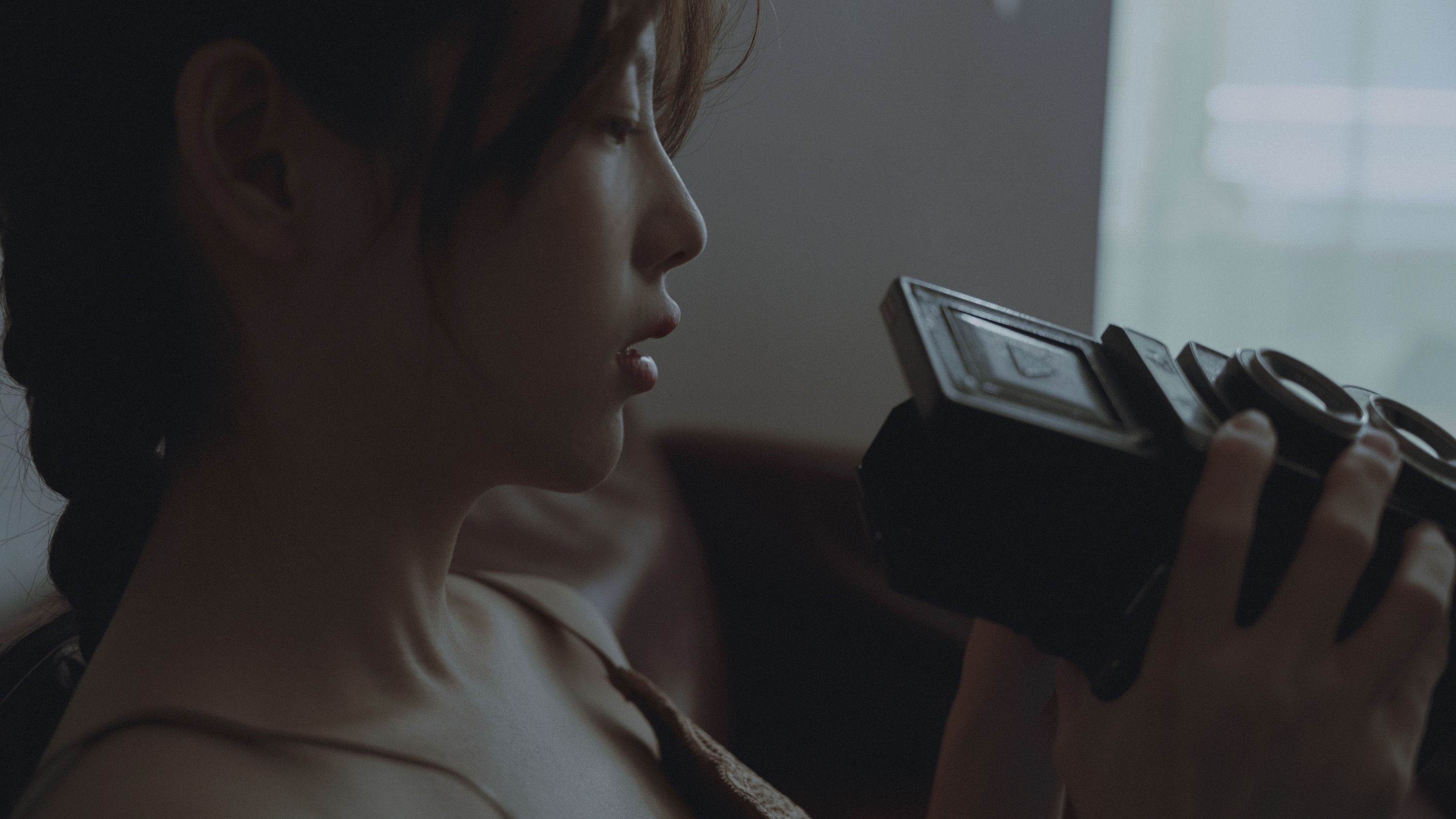 小叶 – 《裂缝中的光》[22P]