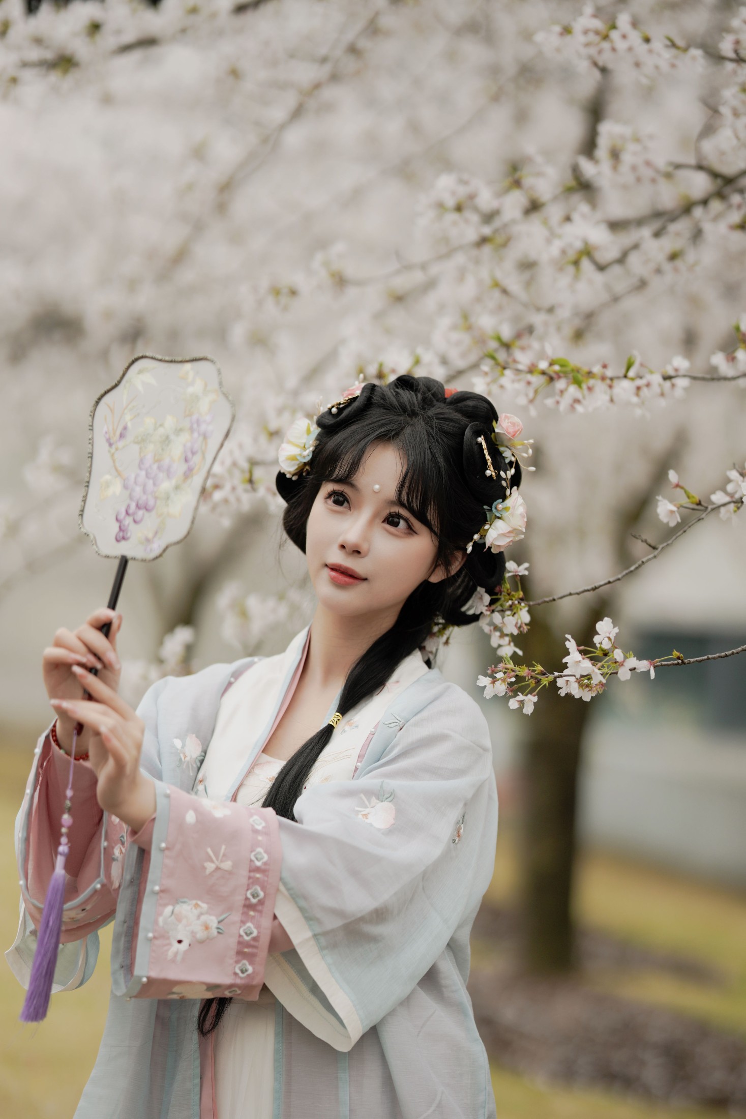 苏苏 – 《樱花树下》[27P]