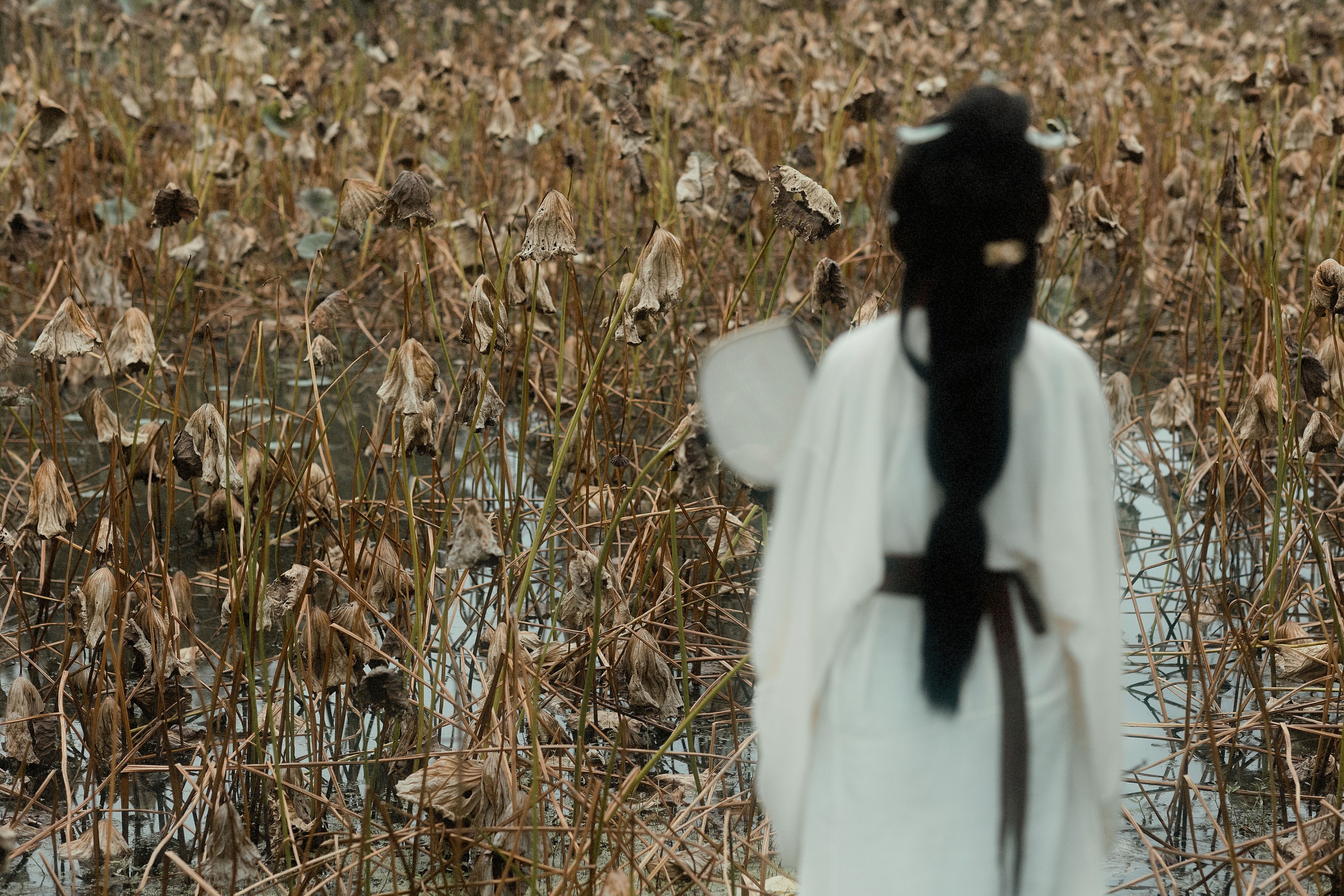 _泽兰_ – 《静女》[22P]