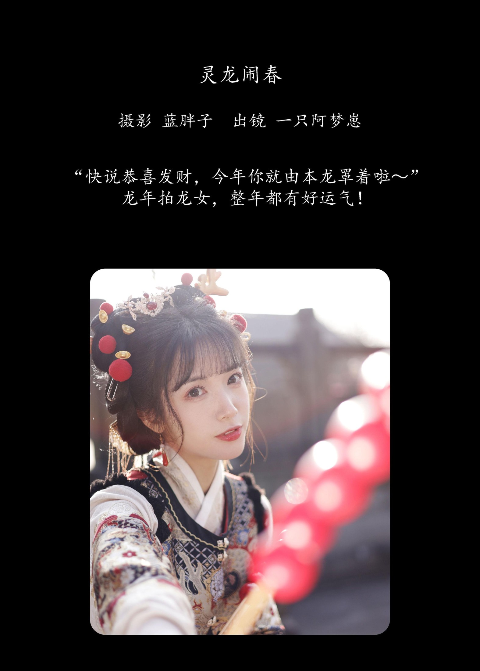 一只阿梦崽 – 《灵龙闹春》[29P]