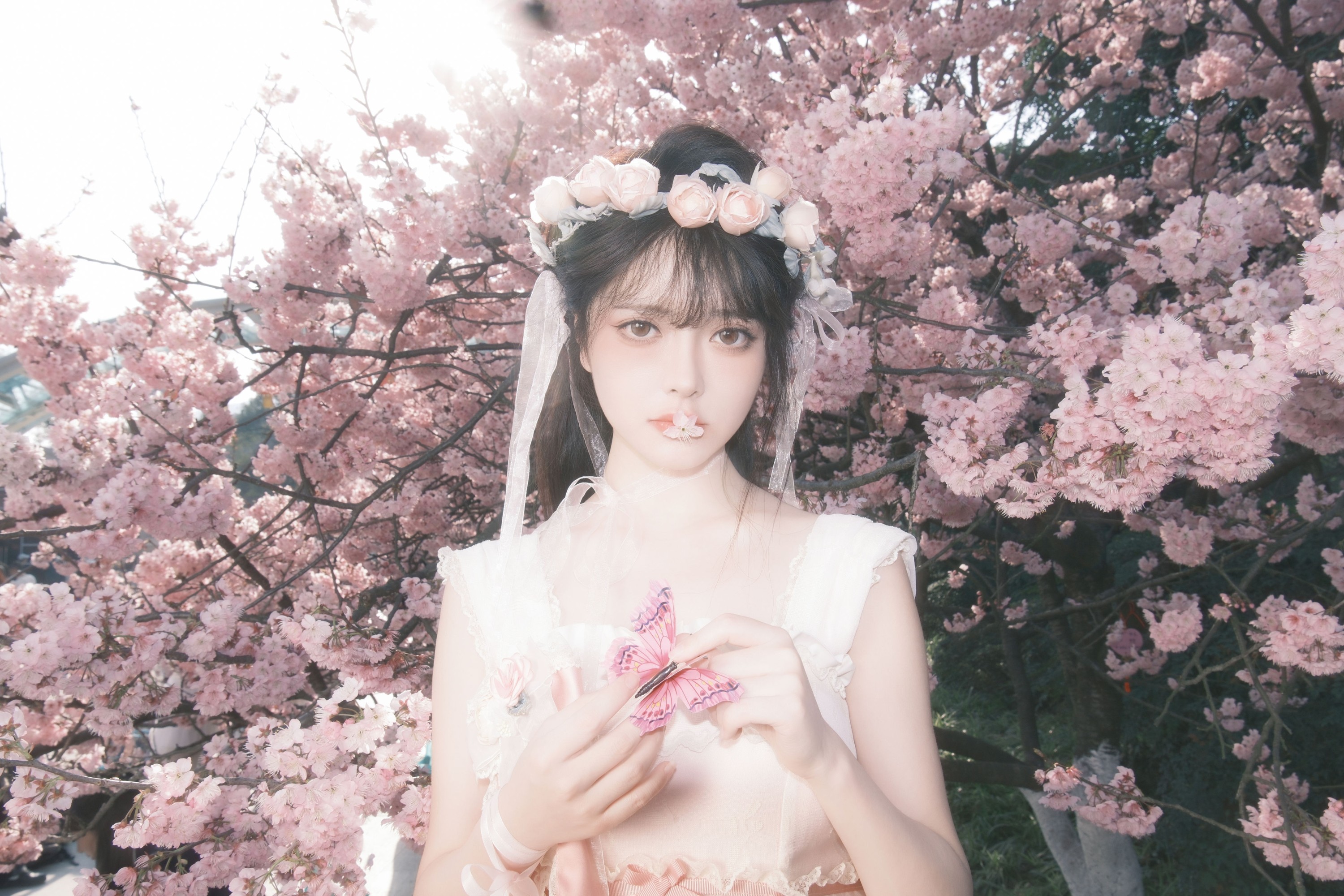 星之卡桃 – 《樱花少女梦》[28P]